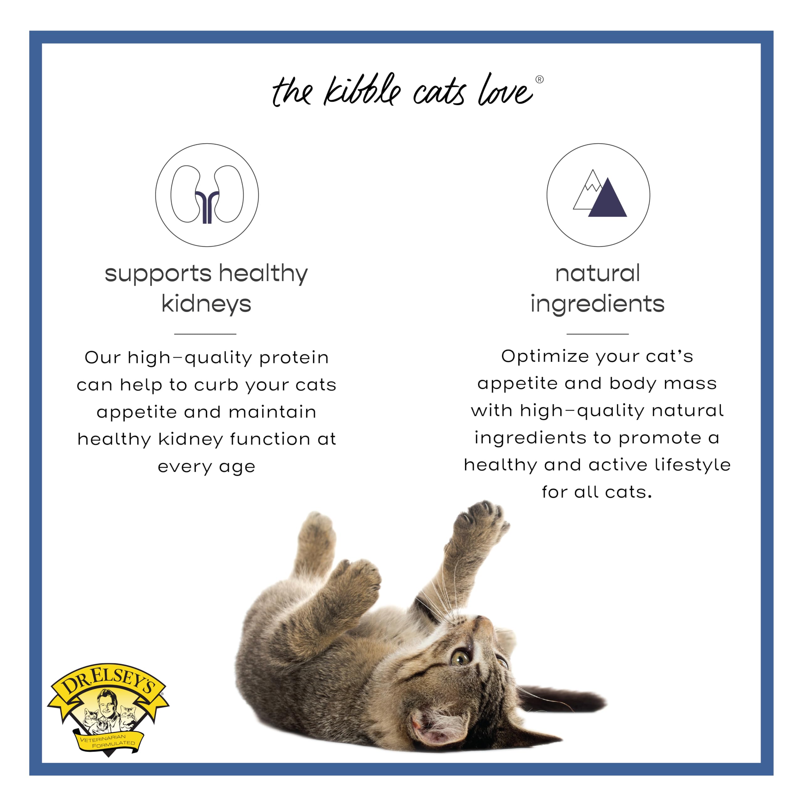 Dr. Elseys Freeze-Dried Chicken Cat Treats 0.5 oz.