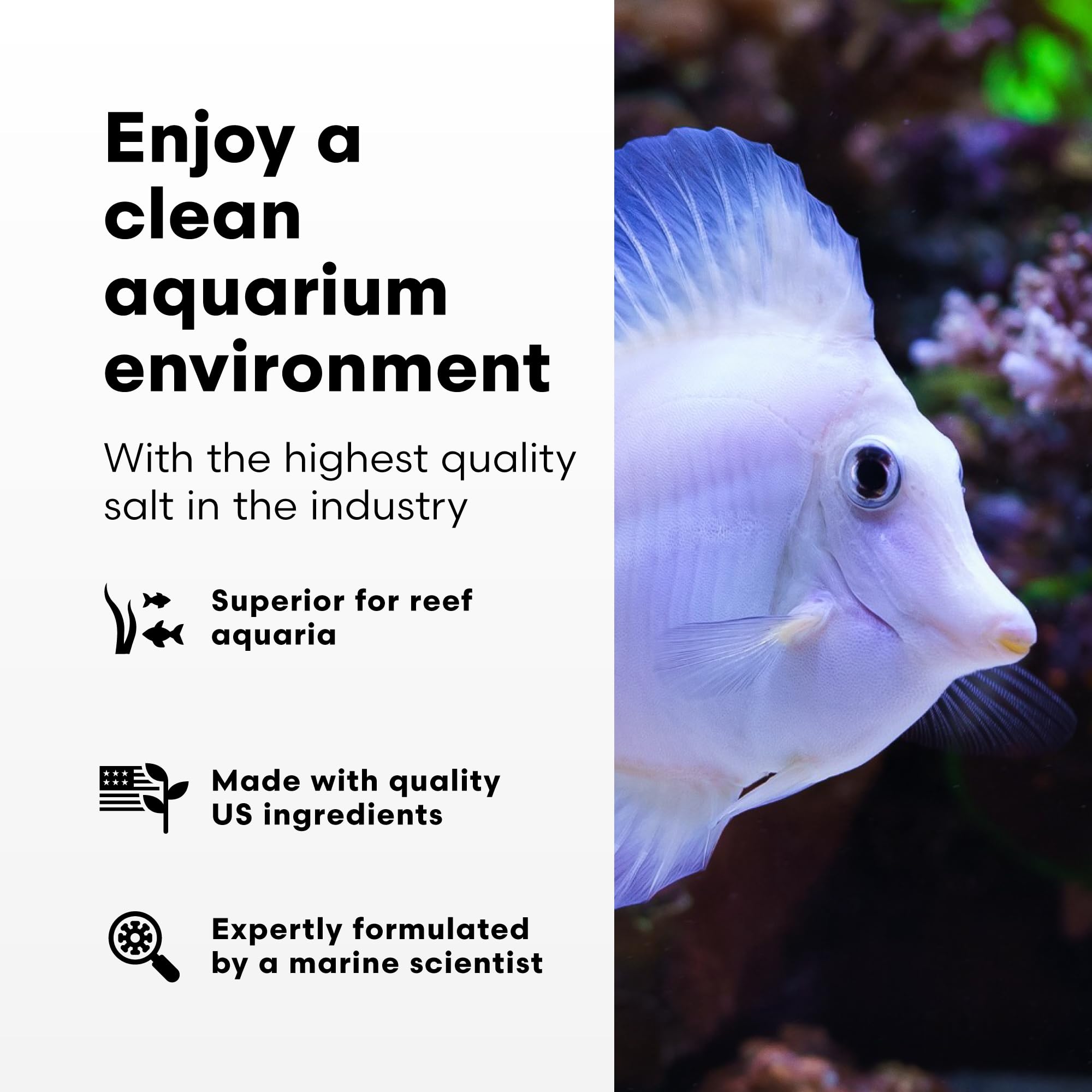 Brightwell Aquatics - NeoMarine Marine Salt Blend for Reef Aquarium - Fish Tank Starter Aquarium Salt - Aquarium Water Treatment