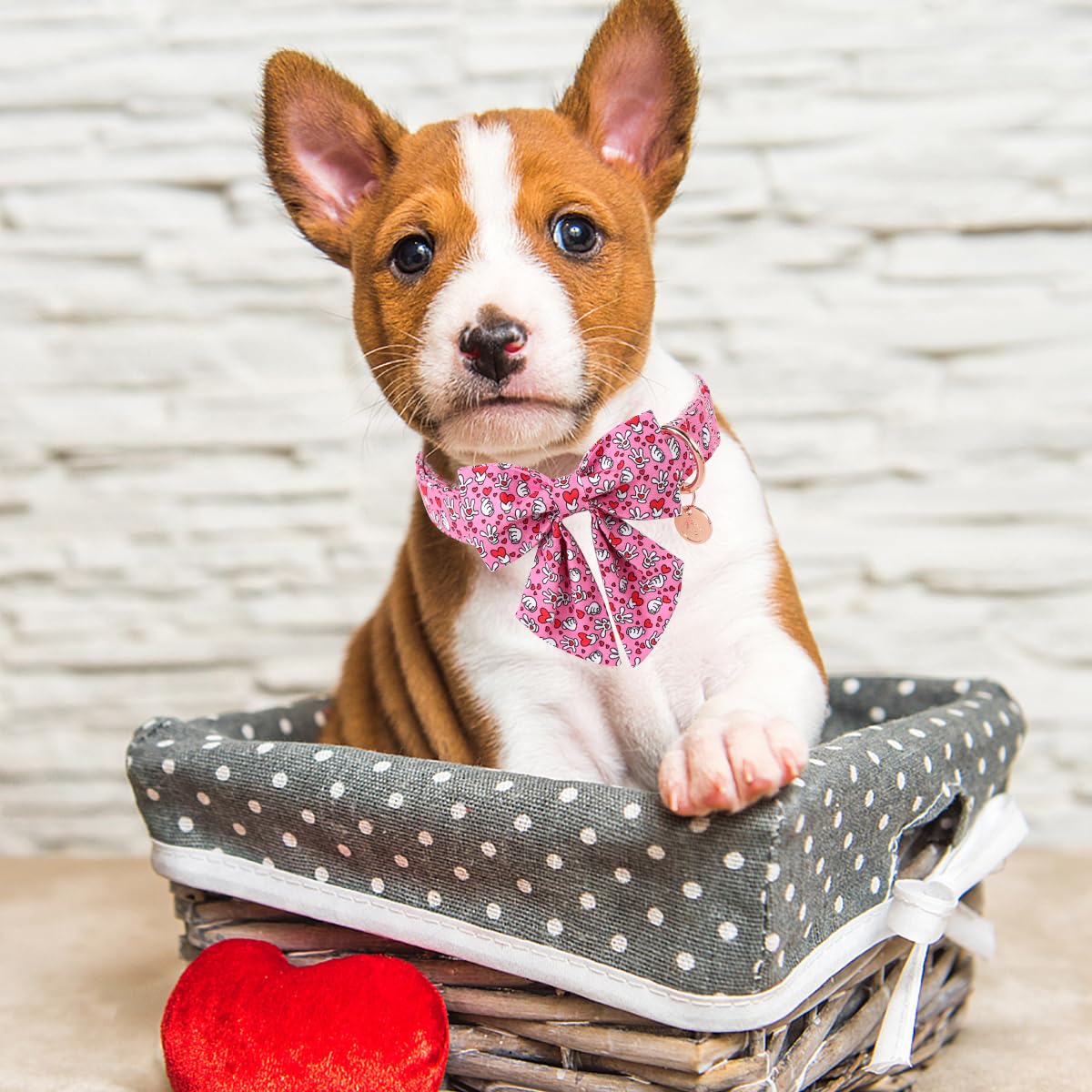 Dogwong Pink Heart Sailor Bow Dog Collar - Small, Cotton, Decorative, Unisex, Everyday Wear & Special Occasions