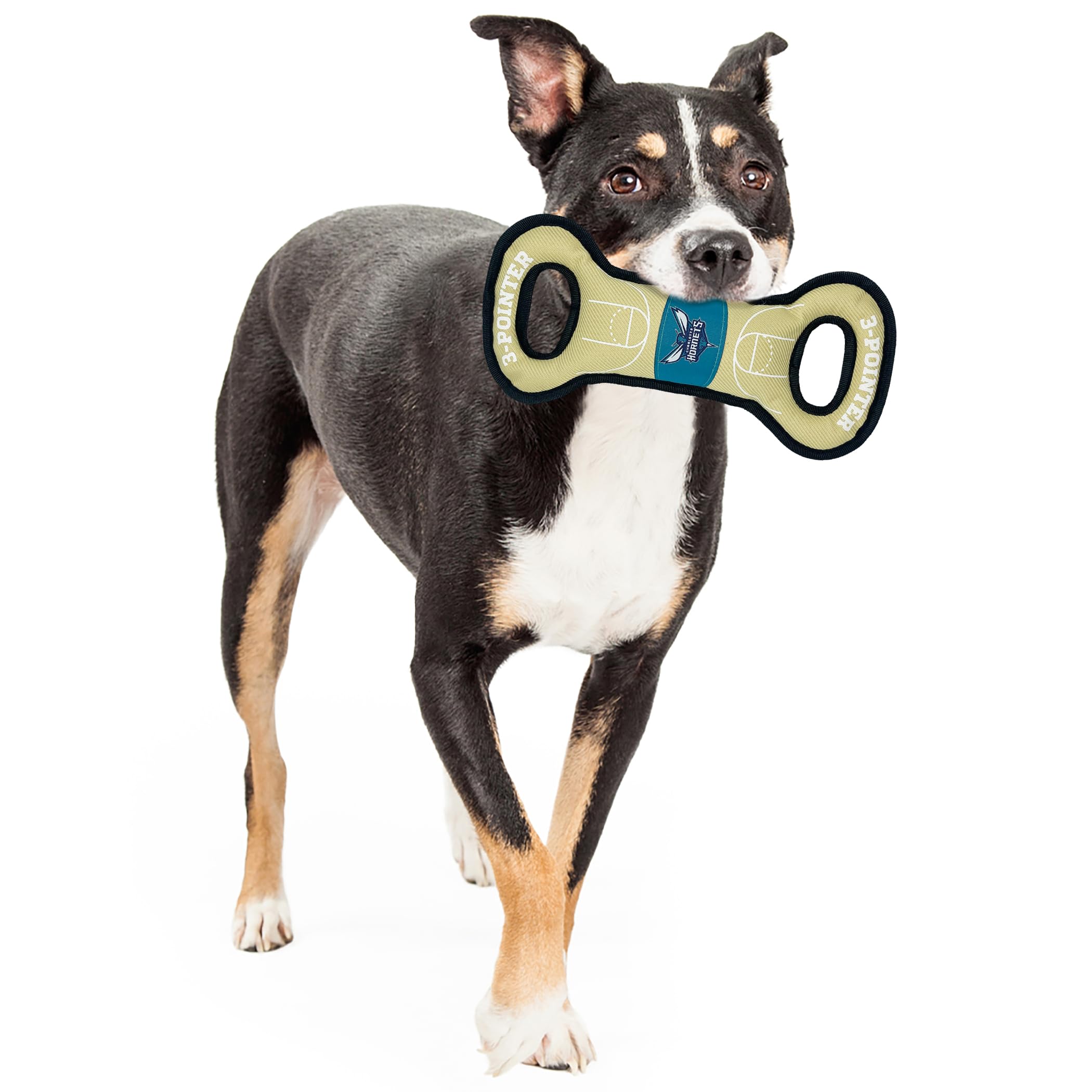 Pets First Nba Charlotte Hornets Field Toy. - Tough Nylon Pet Toy With Double Trim Stitching & Inner Squeaker, One Size