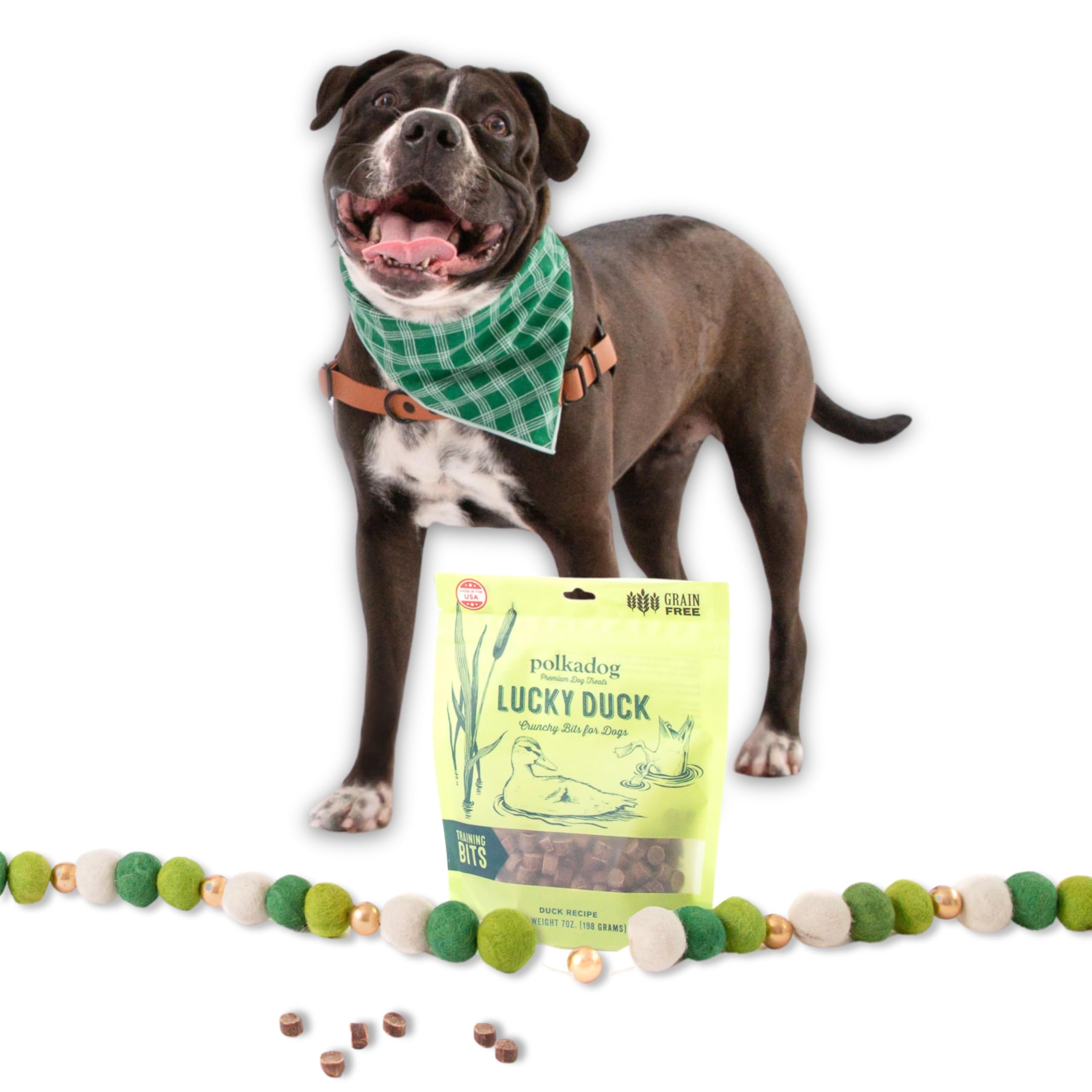 Polkadog Lucky Duck Crunchy Training Bits - All Natural, Grain Free Healthy Training Treats for Dogs. Handcrafted & Made in USA.
