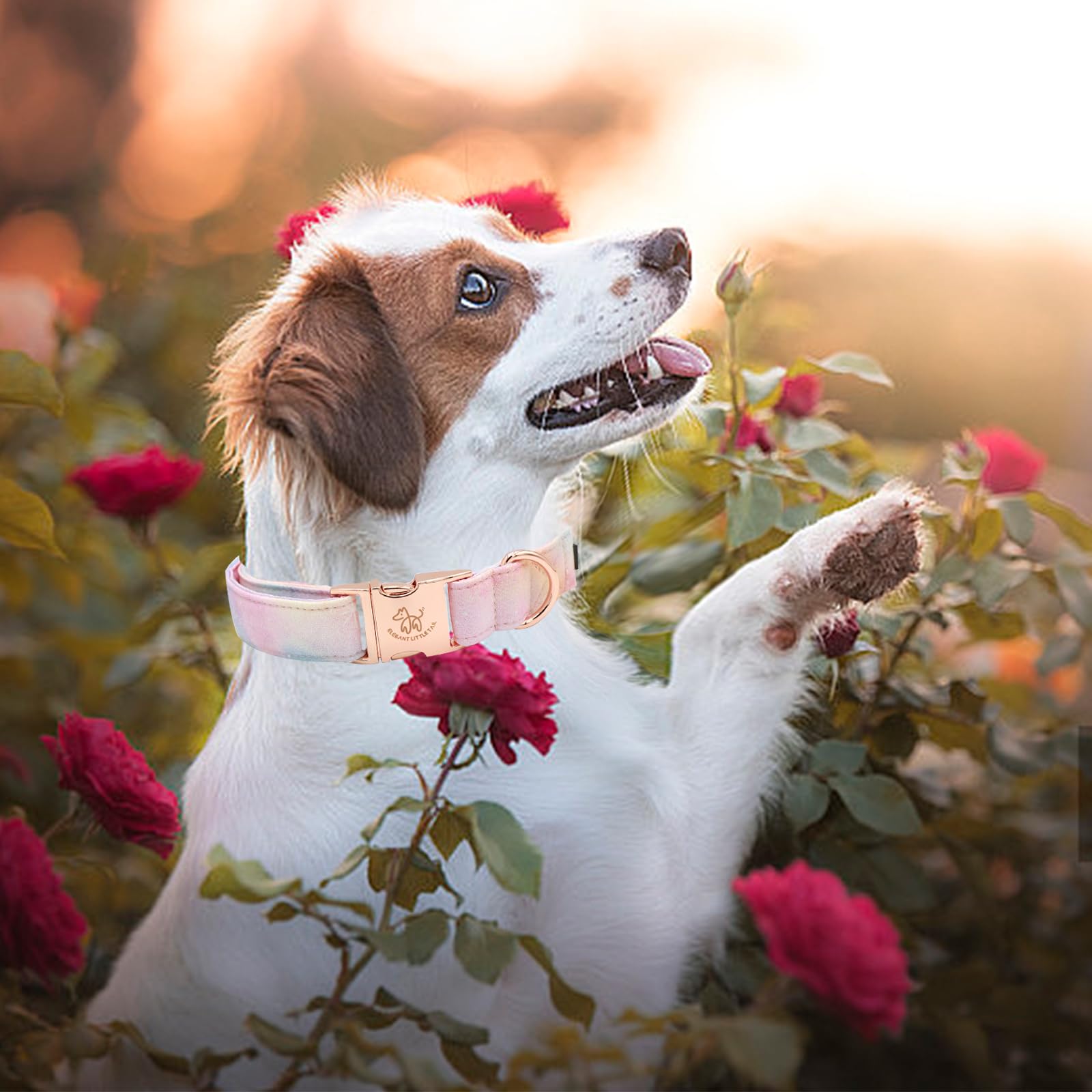 Elegant Pink Floral Print Summer Dog Collar - Cotton, Durable Metal Buckle Collar For Medium Dogs
