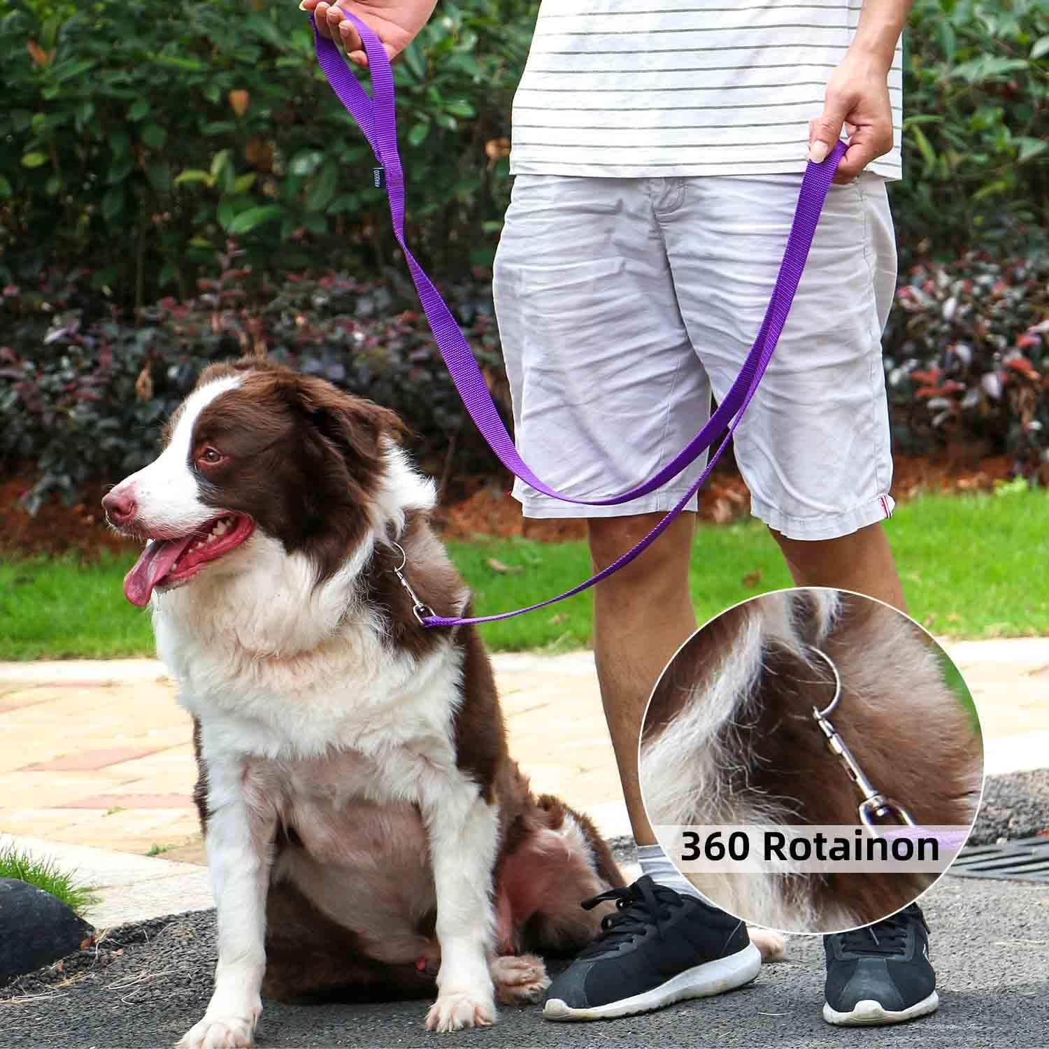 Amagood 6 Ft Puppy/Dog Leash, Strong And Durable Traditional Style Leash With Easy To Use Collar Hook, Great For Small, Medium A