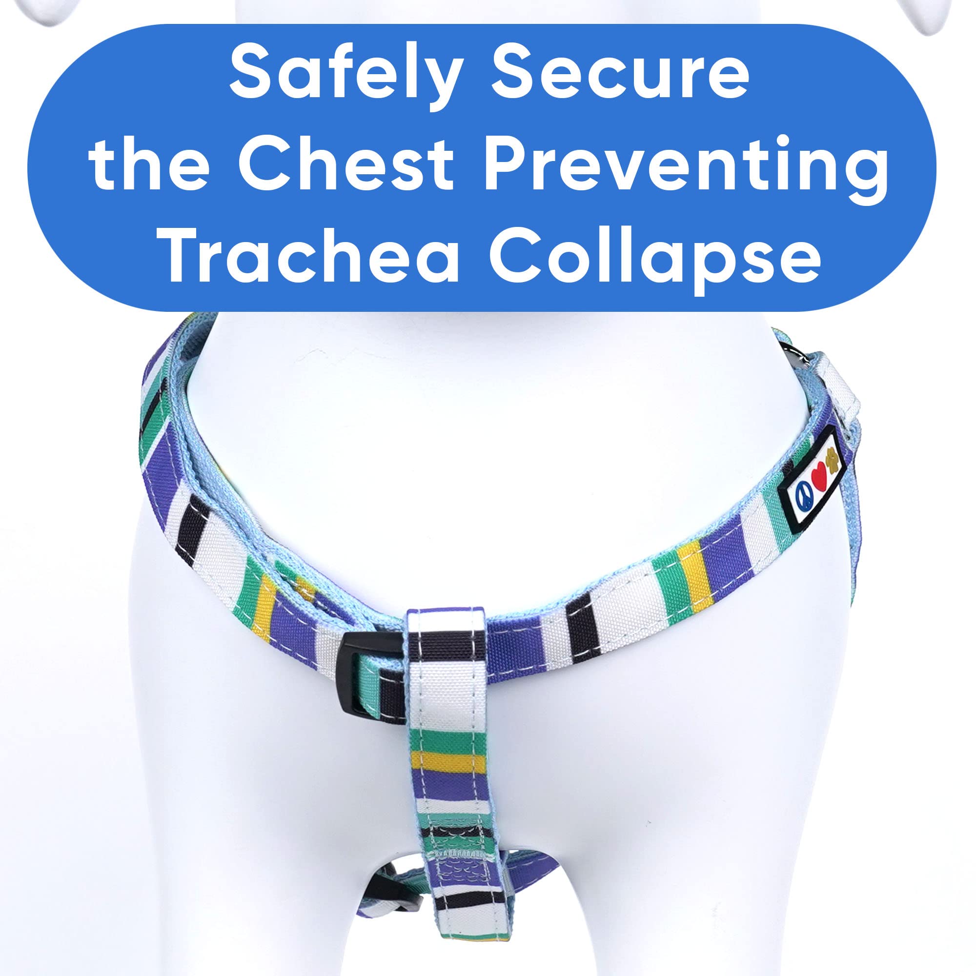 Pawtitas Pet Adjustable Solid Color Step In Puppy/Dog Harness 6 Feet Matching Collar And Harness Sold Separately Small Blue/Teal/Yellow Multicolor