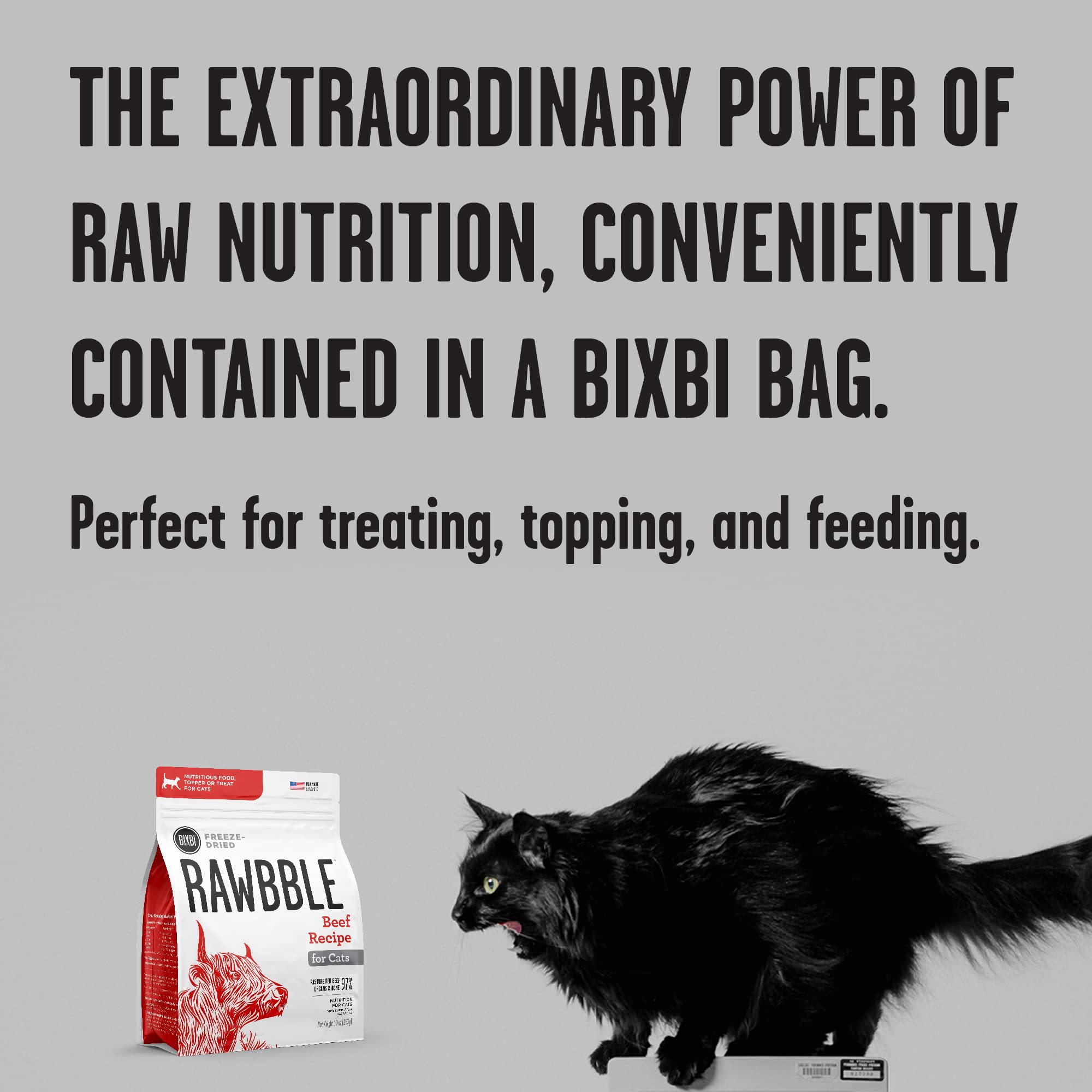BIXBI Rawbble Freeze Dried Cat Food, Beef Recipe, 10 oz - 97% Meat and Organs, No Fillers - Pantry-Friendly Raw Cat Food for Mea