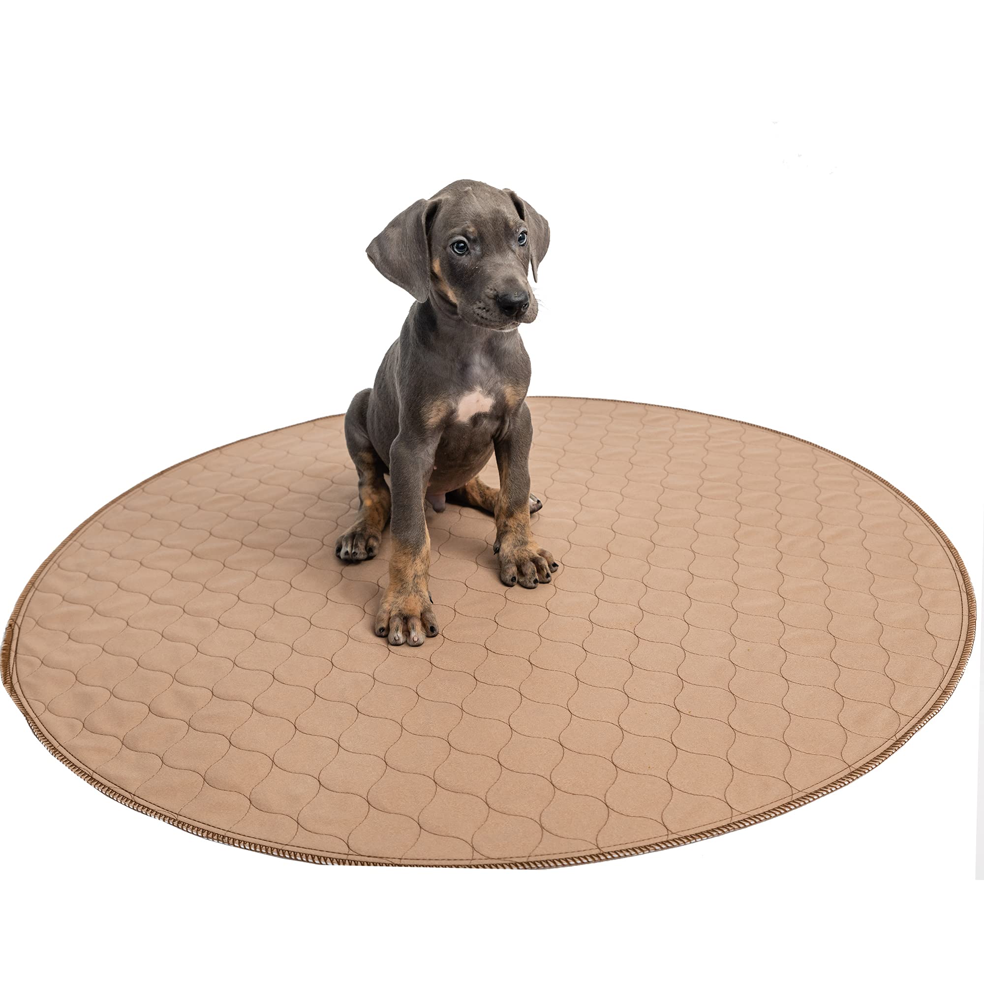 Ezwhelp Washable Whelping Dog Pee Pads - Waterproof And Reusable Potty Training Floor Pads - Absorbent Dog Training Bed - Puppy Training Pads Supplies, Absorbent Pet Pen Floor Pad Puppies, 36-In
