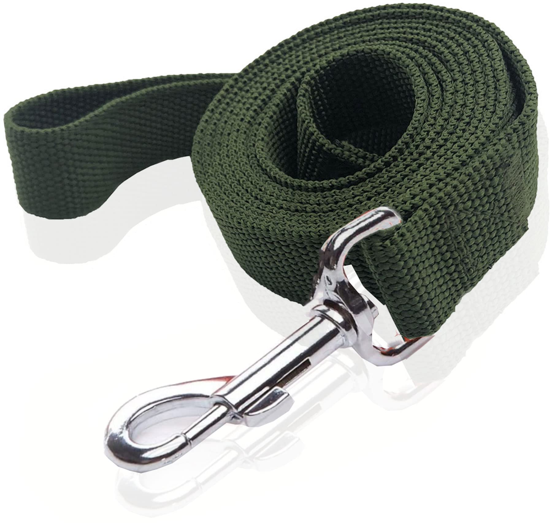 Nylon Dog Leash 8 Feet Long, Walking Training Dog Leashes For Medium Large Dogs(1'' X 8 Ft, Gree)