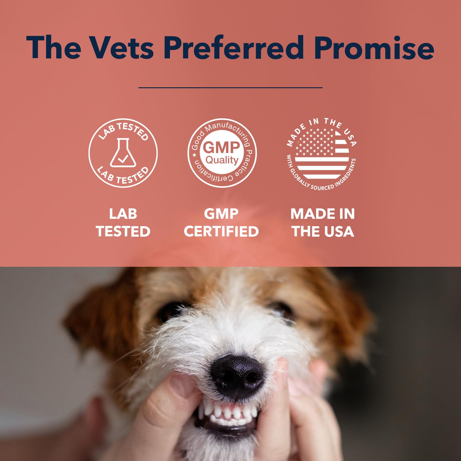 Vets Preferred Oral Care Water Additive for Dogs - Healthy Mouth Dog Breath Freshener Mouthwash - Fights Bad Breath, Removes Pla