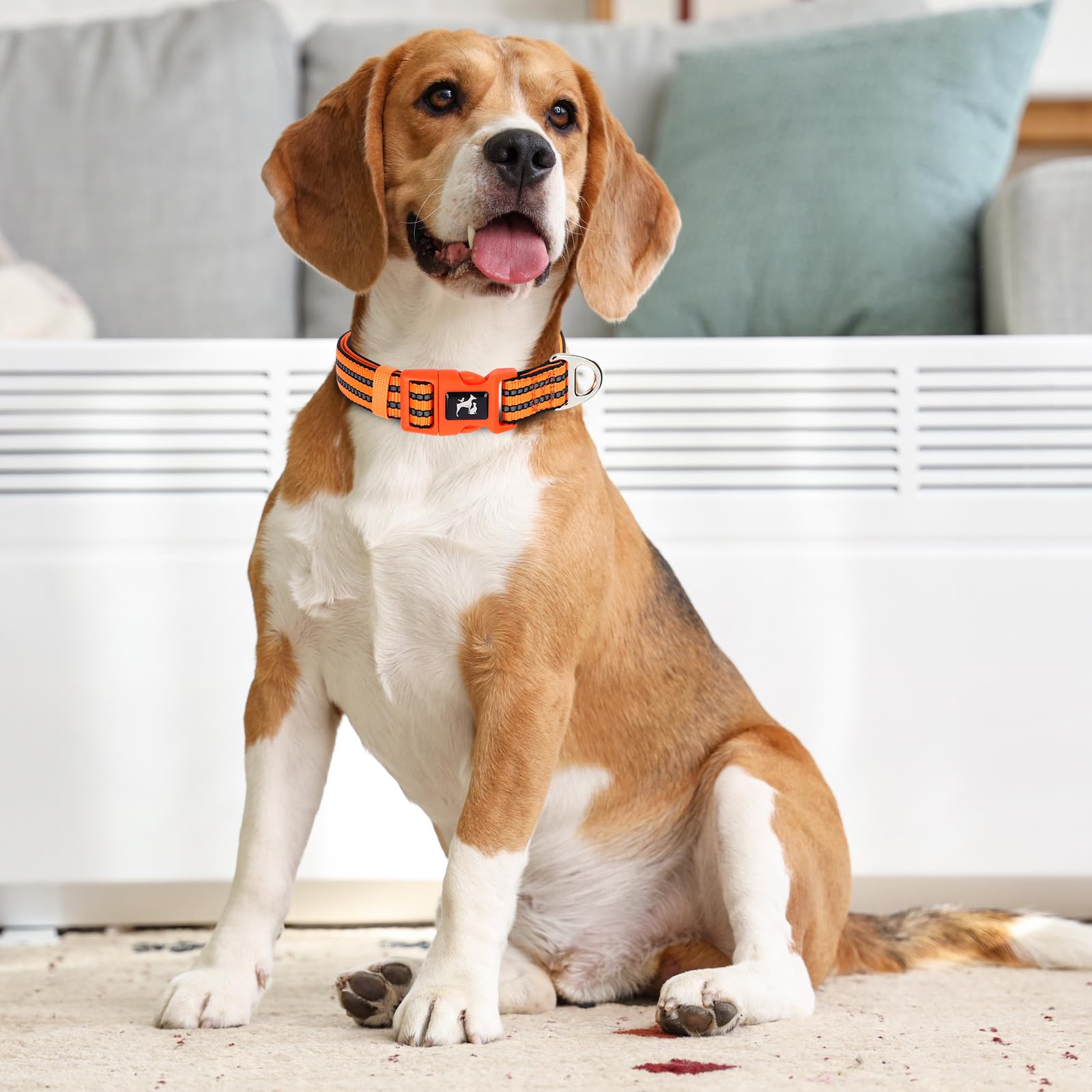 Onefojojo Extra Large Reflective Dog Collar,Adjustable Soft Neoprene Breathable Quick Release Basic Dog Collars For Medium Large
