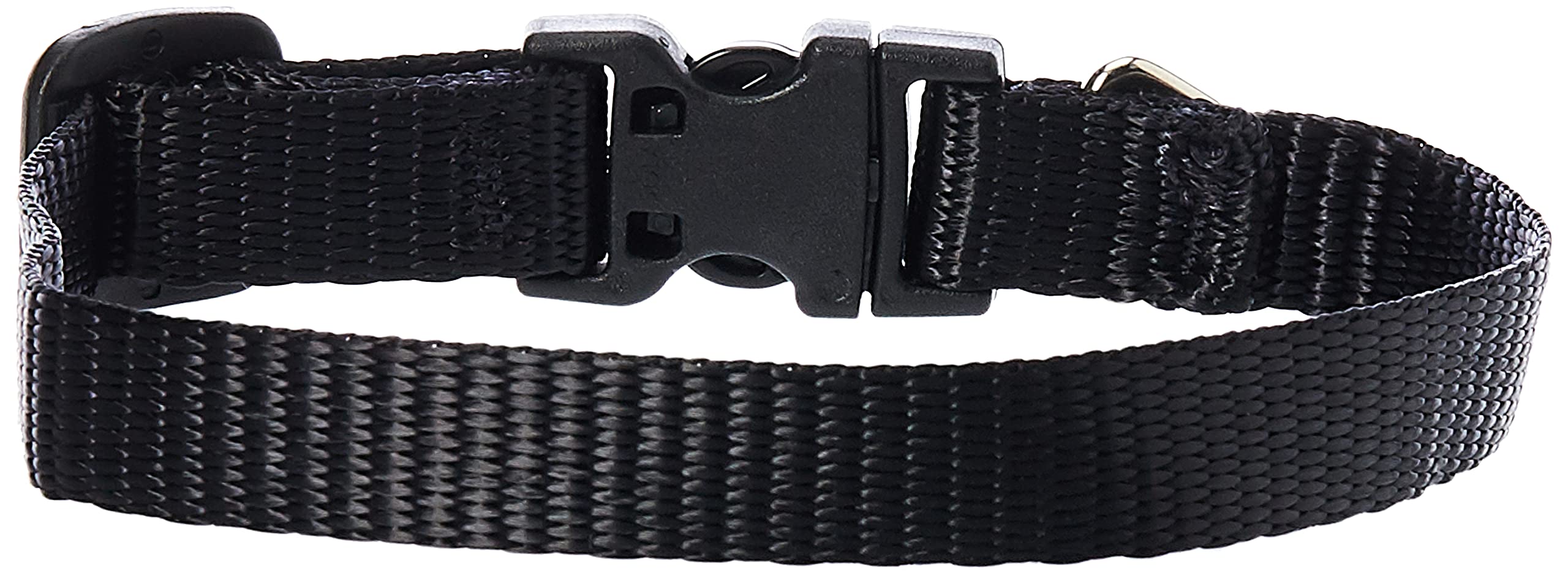 LupinePet Basics 1/2'' Black 8-12'' Adjustable Collar for Small Dogs