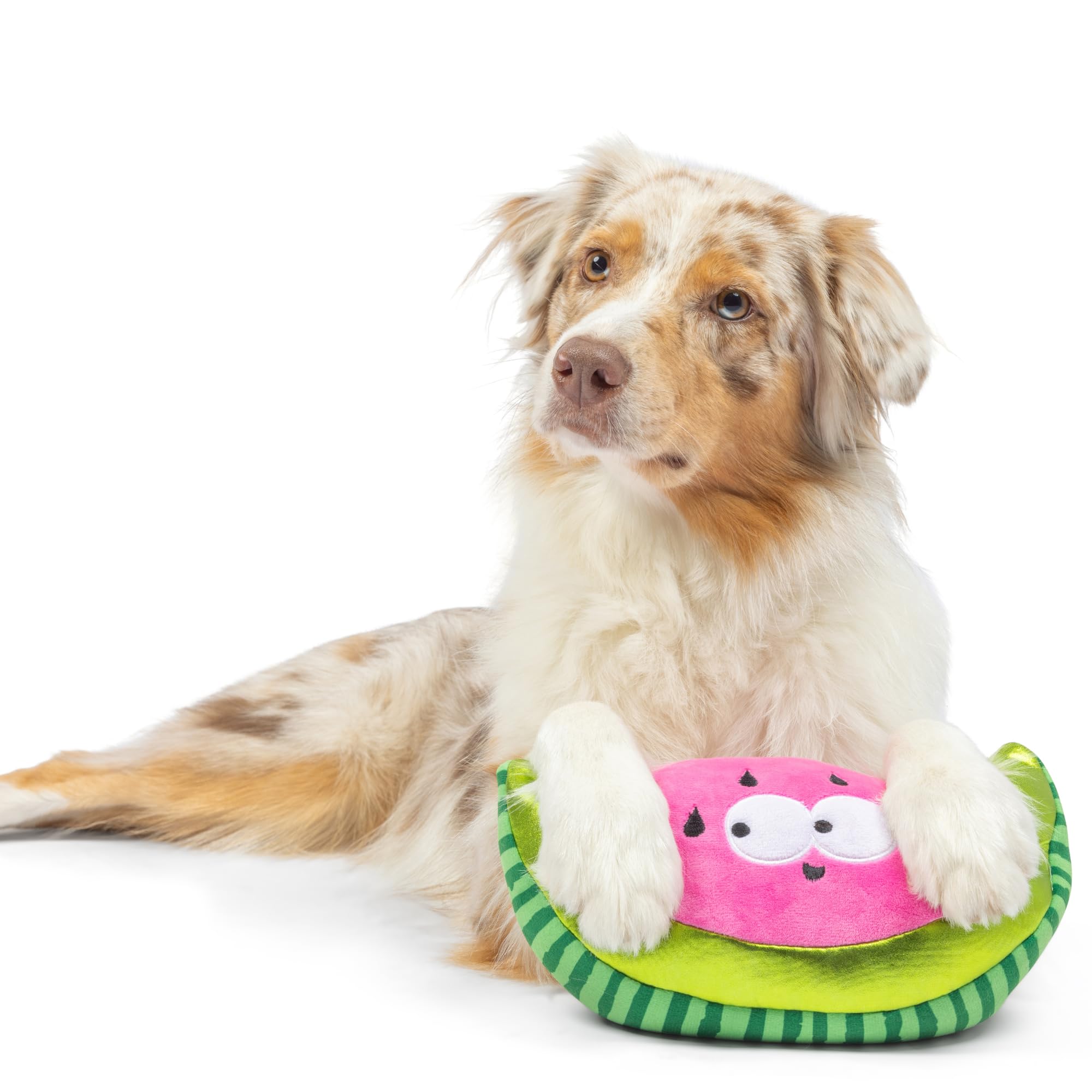 Huxley & Kent For Dogs - Walter Melon (Large) - Power Plush Dog Toy With Squeaker - Fun, Durable - H&K Squeaky Funny Dog Toy