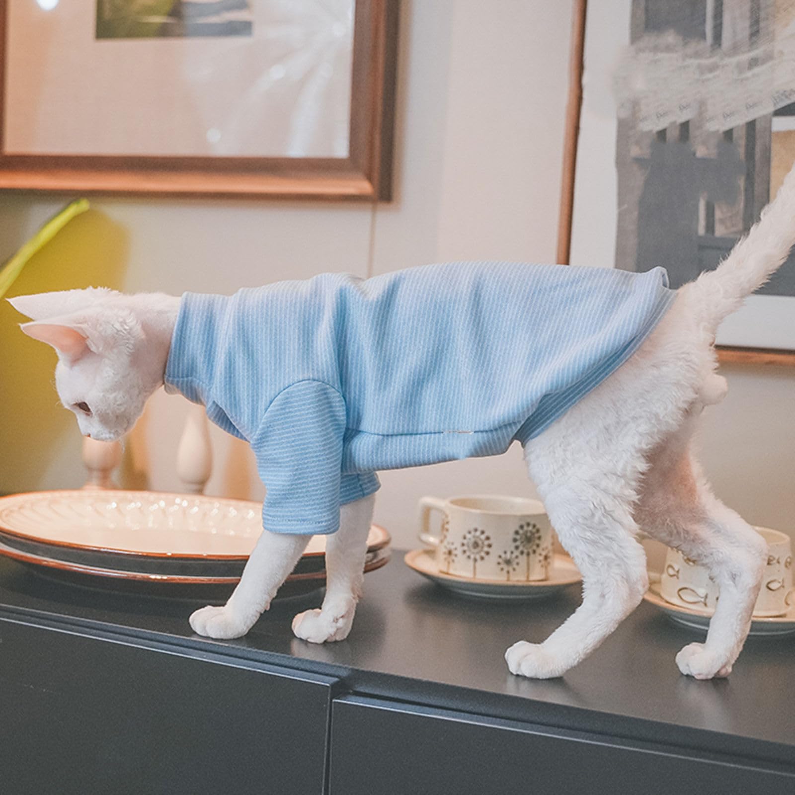 Sphynx Cats Warm Fleece Shirt Cat Turtleneck Undershirt Thermal Hairless Cat Clothes For Sphynx, Devon, Cornish Cat Clothes And