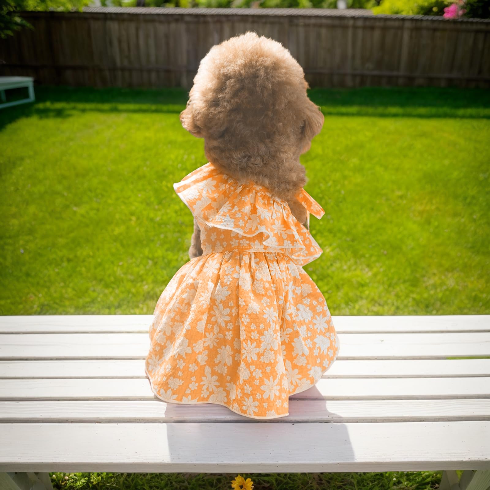 Topkins Dog Dress, Cute Dog Princess Dress With Lace-Up, Pretty Prints Pet Dress Clothes For Small Dog (Orange, S)
