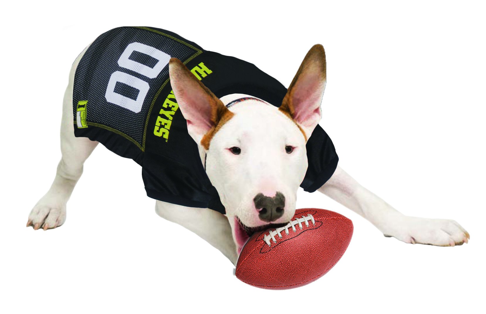 Pets First NCAA College University Of Iowa Hawkeyes Mesh Jersey for DOGS & CATS, Size X-Large, Licensed Dog Jersey with your Fav