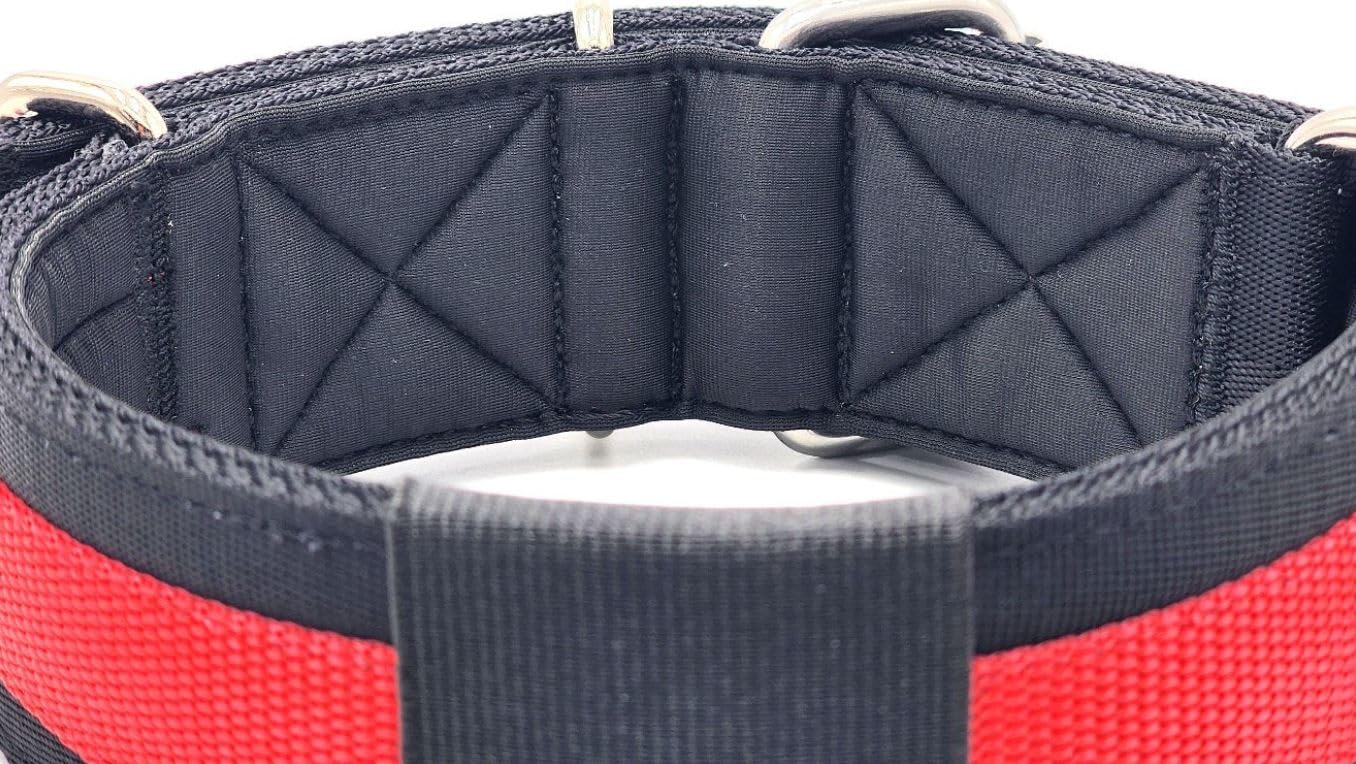 Canine Athletes 2' Wide Elite Max V2 Neoprene Padded Thick Working Dog Collar For Strong Dogs (Large)