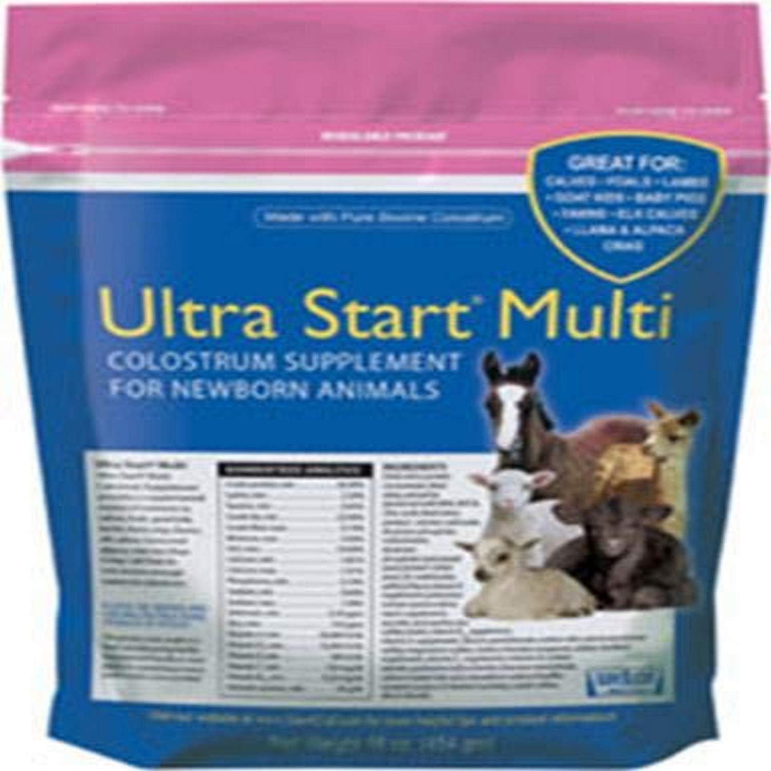 Milk Products,inc P Colostrum Supplement for Horse