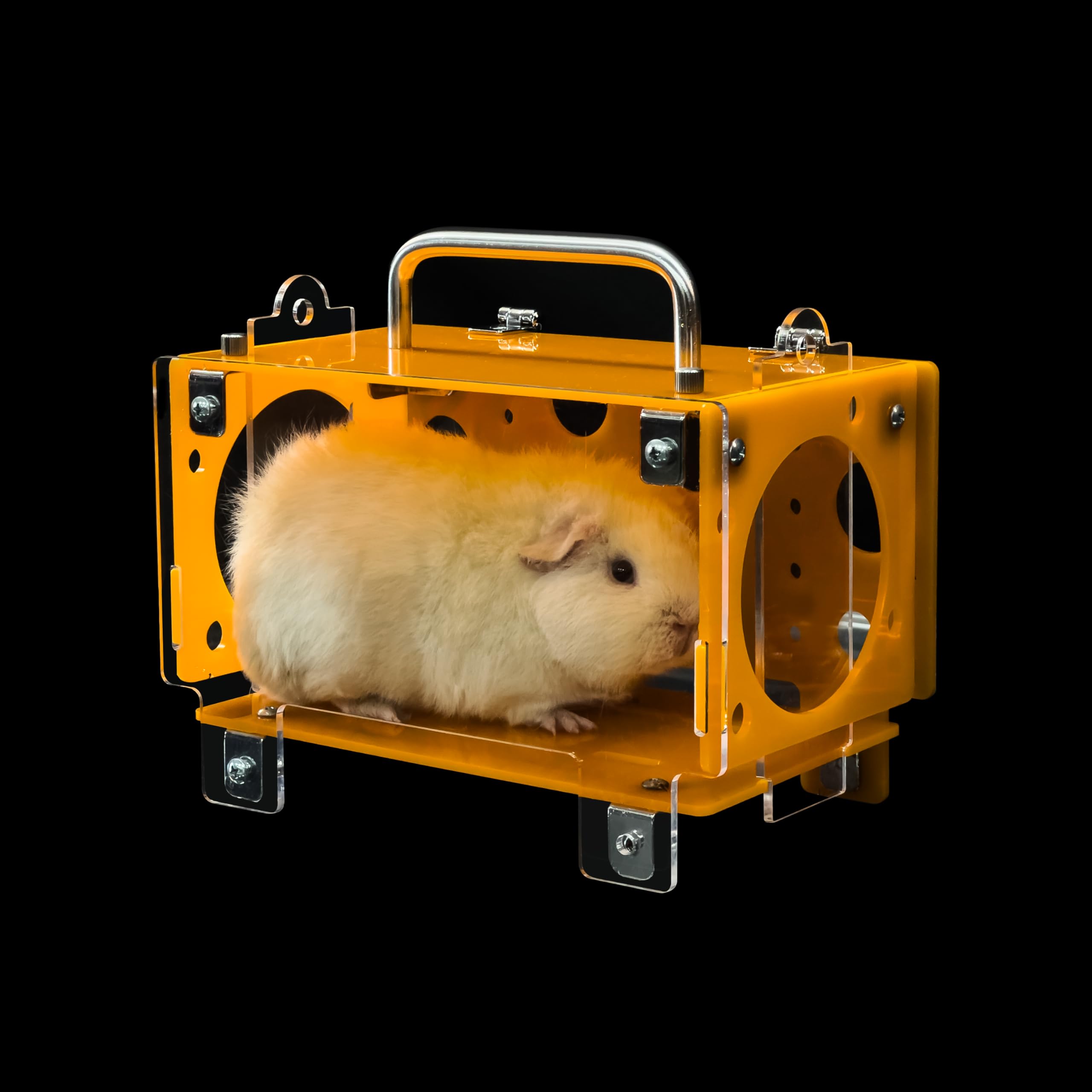 GuineaLoft Guinea Pig Cheese House (Single) V3 - The Ultimate Guinea Pig Hideout by Seasoned Owners Who Tried Everything Out The