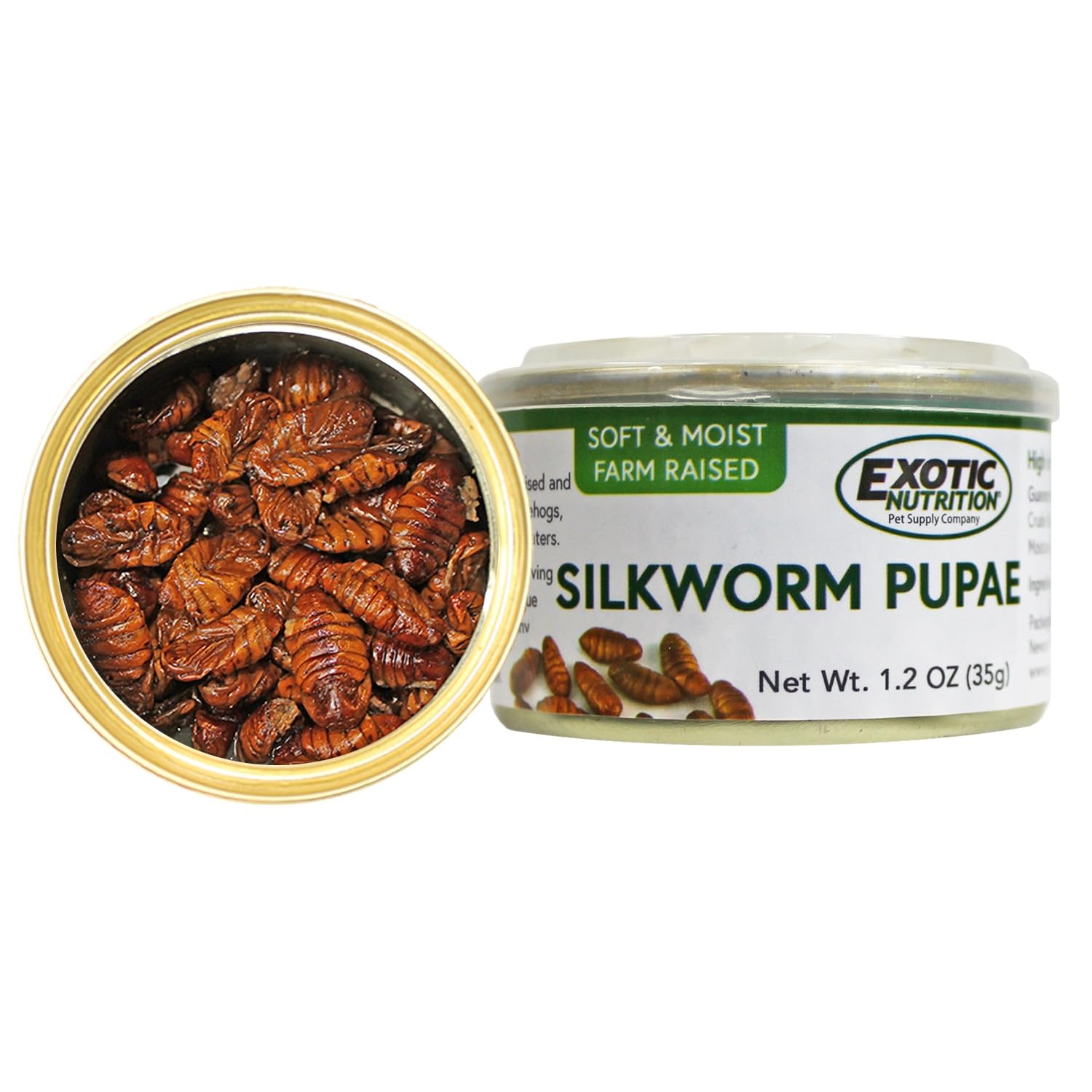 Canned Silkworms 1.2 oz (6 Pack) - Healthy High Protein Insect Treat - Hedgehogs, Sugar Gliders, Reptiles, Wild Birds, Chickens,