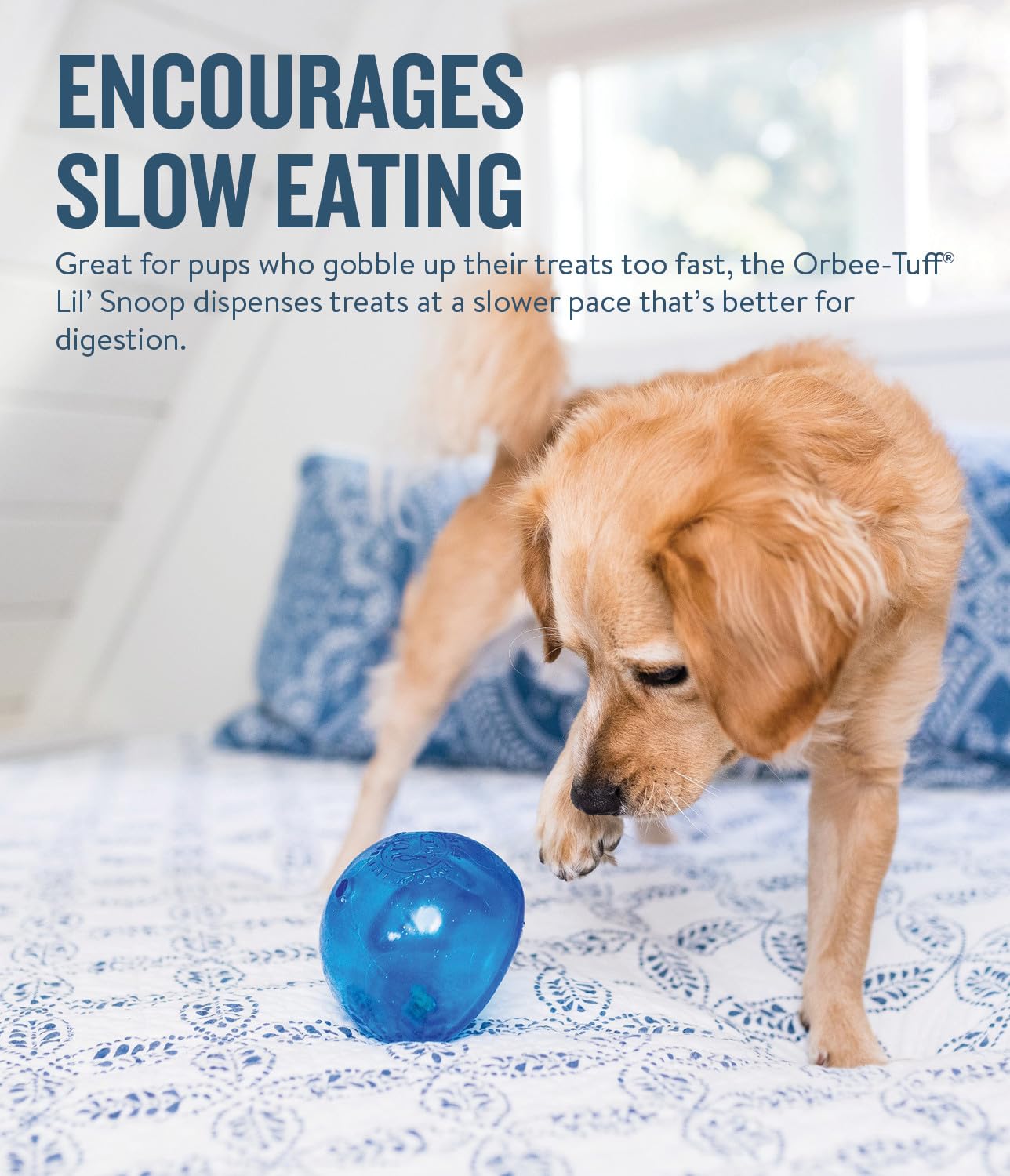Outward Hound by Planet Dog Lil' Snoop Interactive Treat Dispensing Dog Toy, Small, Royal Blue