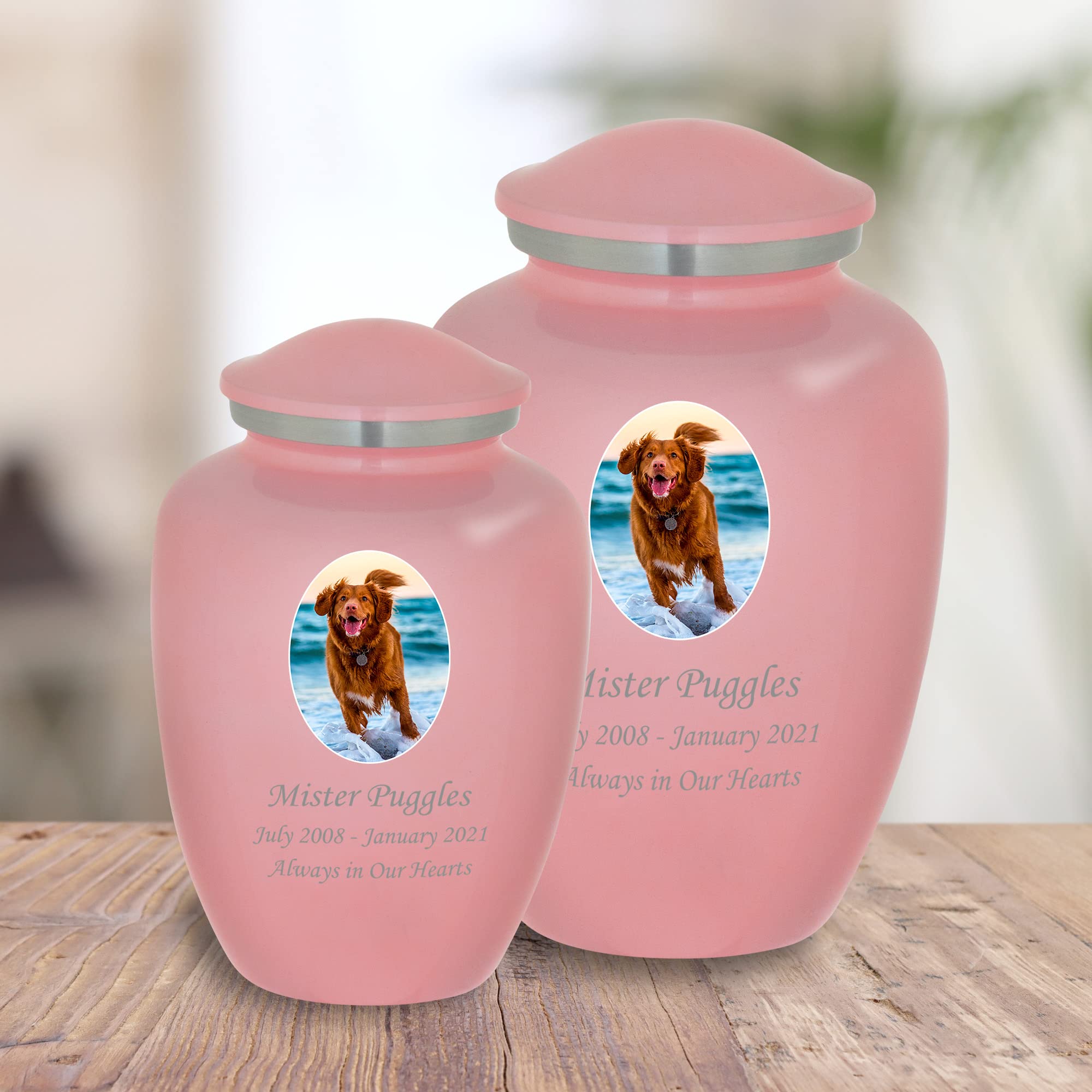Mainely Urns Homage Medium Custom Photo Pet Cremation Urn For Pet Ashes - Vase Style Pet Urn - 80 Cubic Inch Capacity - Personal