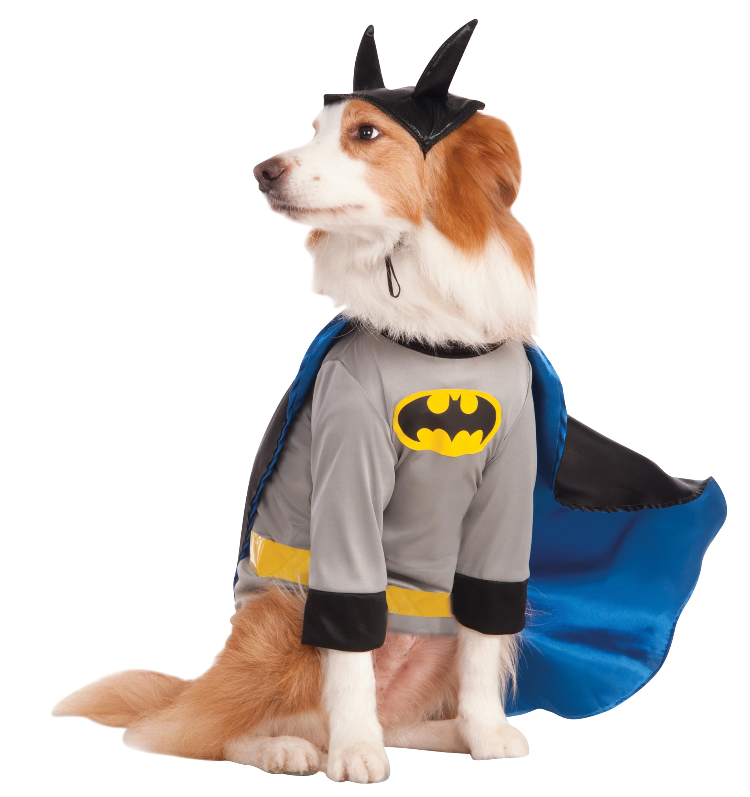 Dc Comics Batman Big Dog Boutique, Xx-Large For Themed Parties And Halloween