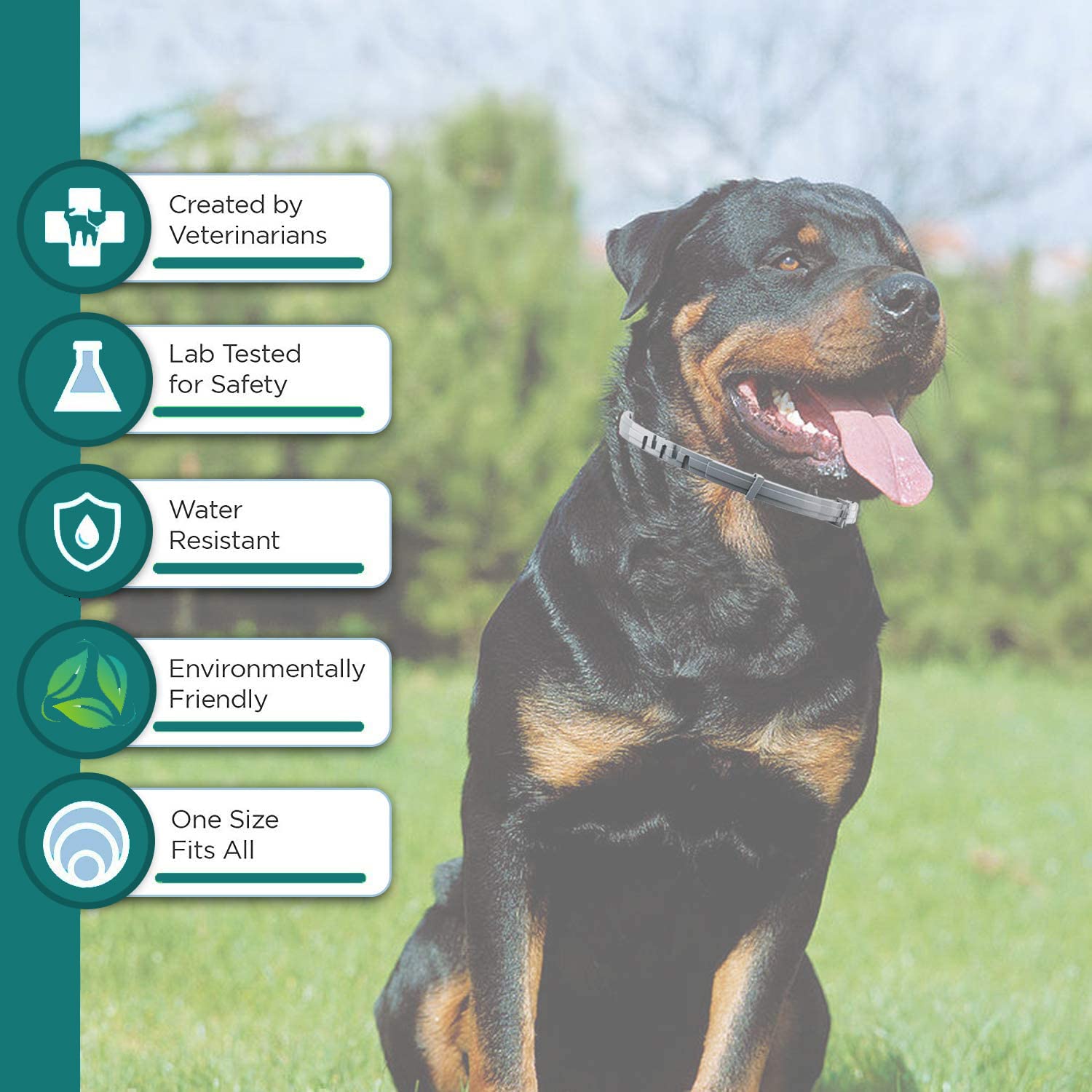 Flea And Tick Collar For Large Dog, Safe, Waterproof, Free Comb, Charity 2 Packs