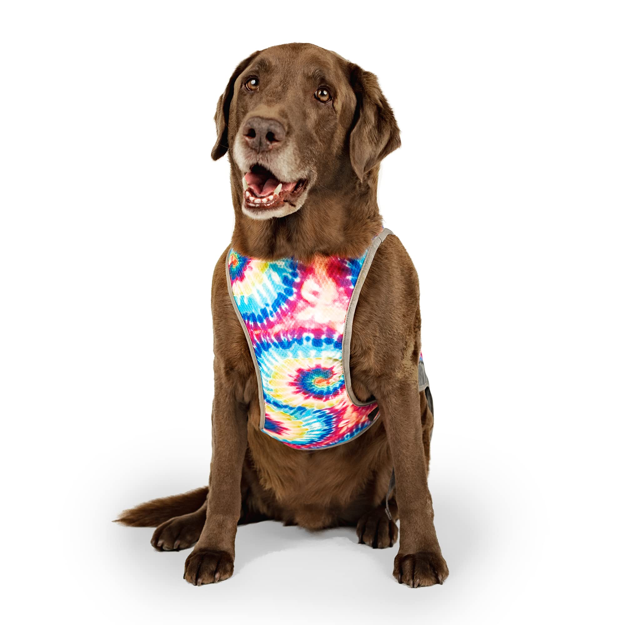 Canada Pooch Dog Cooling Vest - Evaporative Cooling Vest For Dogs With Breathable Mesh Material & Reflective Lining, Adjustable Dog Cooling Vest Great For Dogs 10 (9-11' Back Length), Tie Dye