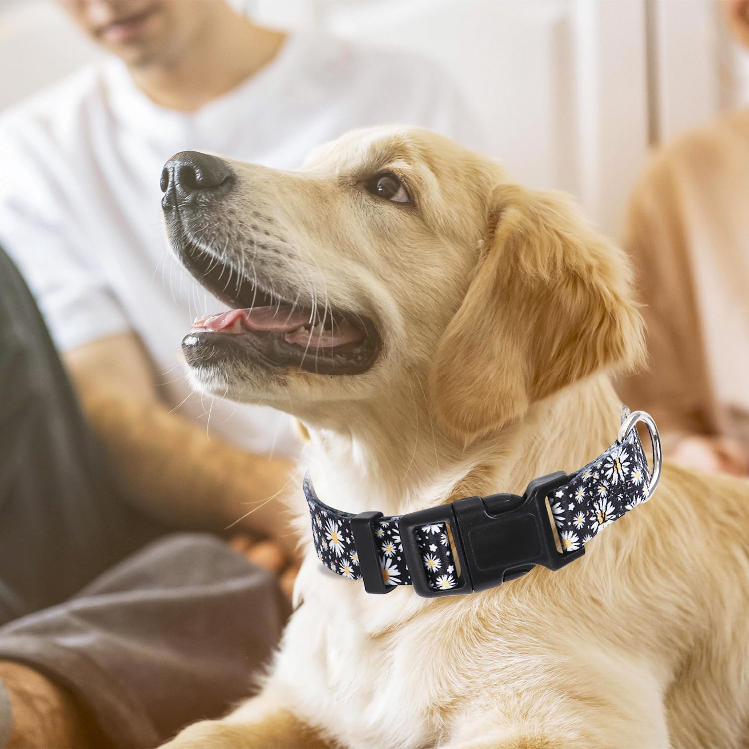 Dog Collars For Large Dogs With Daisy Patterns, Cute Dog Collar Buckle Collar For Boy Girl Dogs, Adjustable Comfy Soft Durable P
