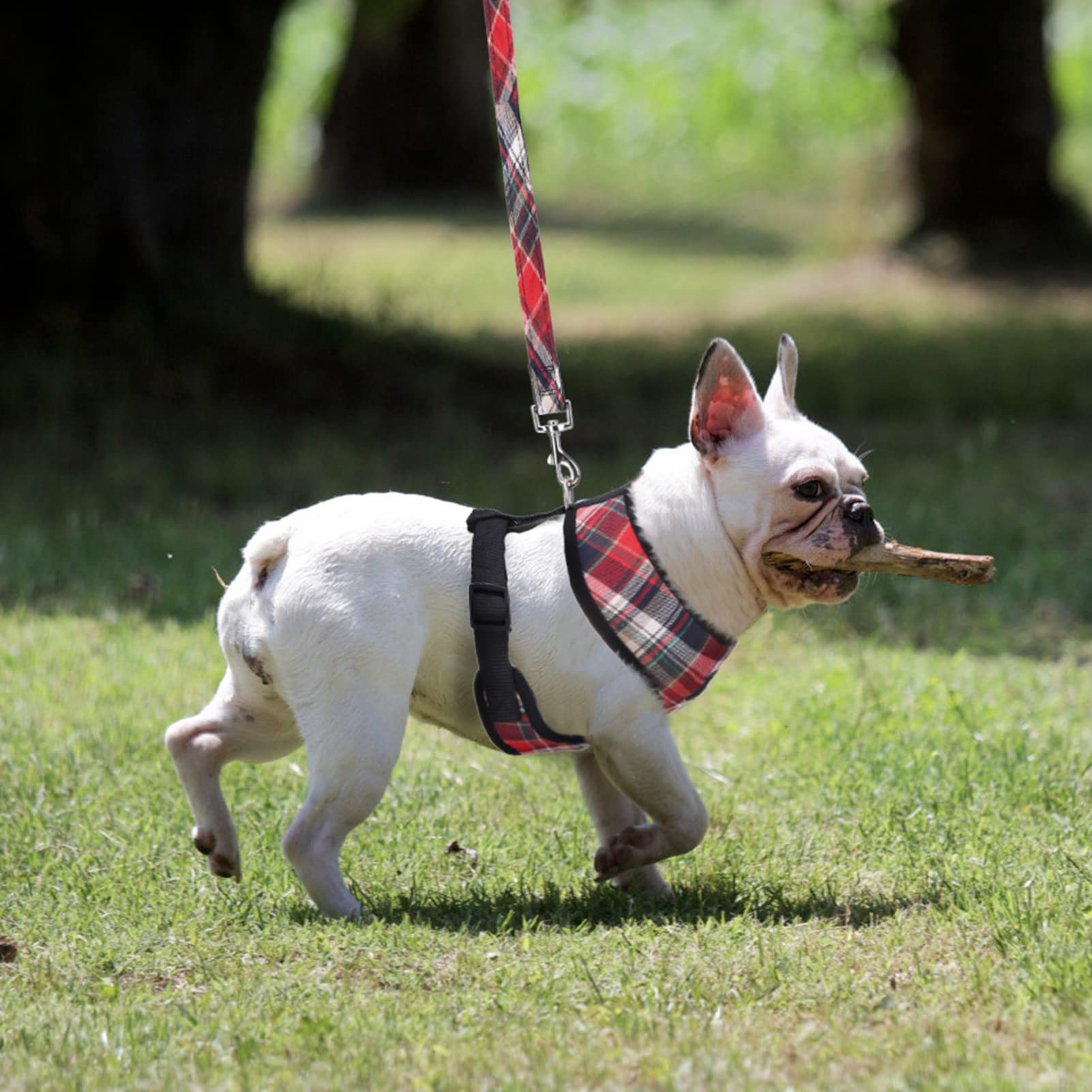 PUPTECK Soft Mesh Dog Harness, No Pull Padded Vest, Small, Red Mix, Model PUP22DHS07-S-Red