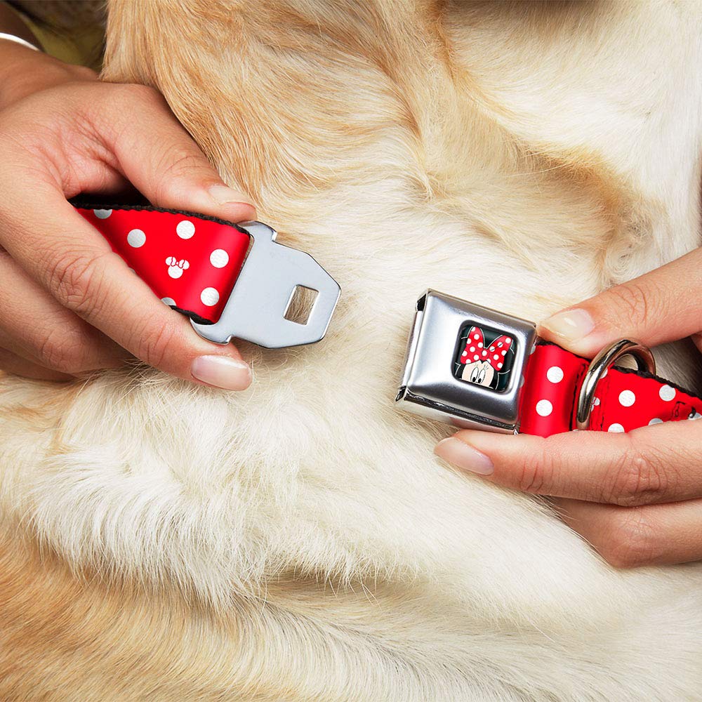 Buckle-Down Seatbelt Buckle Dog Collar - Minnie Mouse Polka Dot/Mini Silhouette Red/White - 1' Wide - Fits 11-17' Neck - Medium