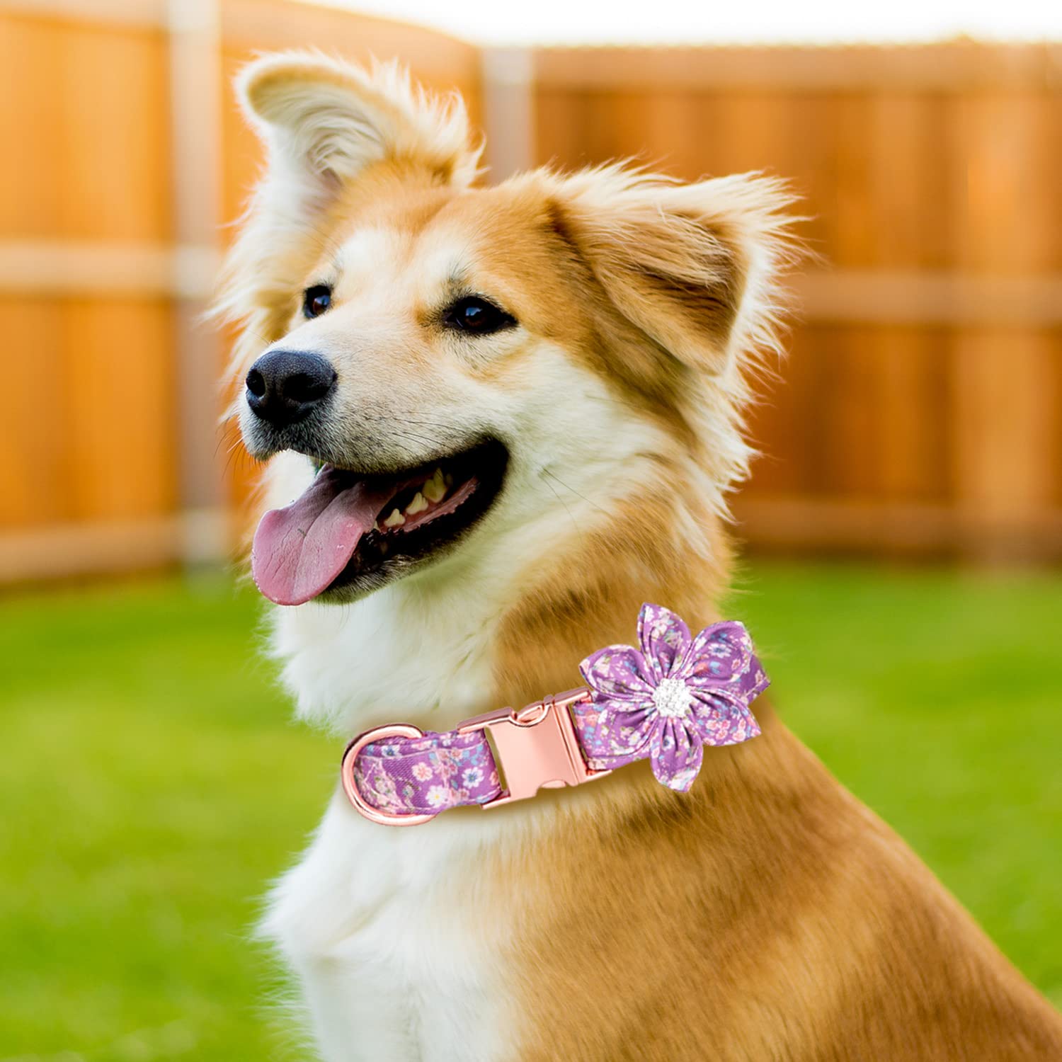 Tdtok Girl Dog Collar For Small Medium Large Dogs, Cute Dog Collar With Detachable Flower Safety Metal Buckle Adjustable Floral Pattern Soft Comfy Cotton Dog Collars, Fit Necks 10.2-23.6