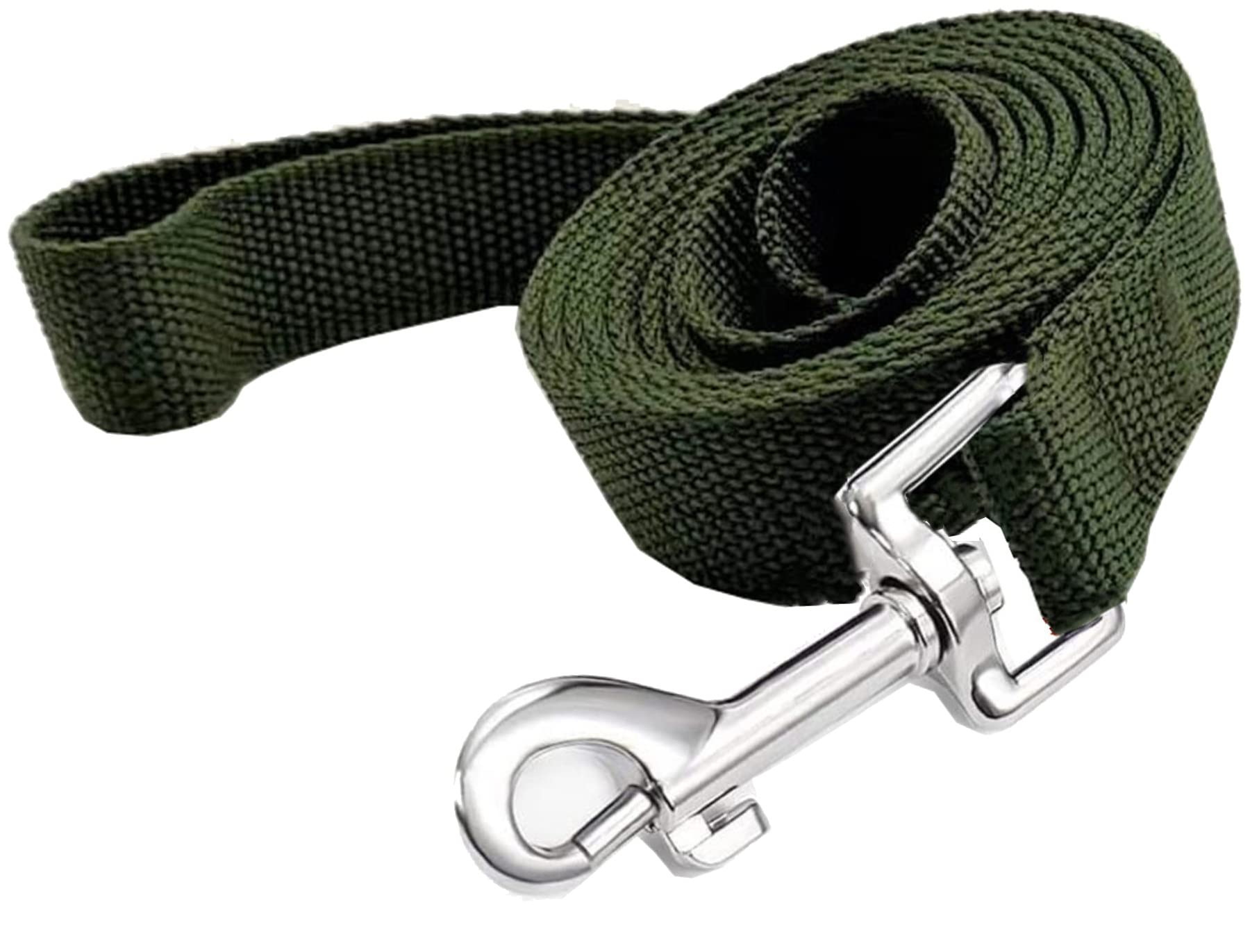 Taian 4Ft/5Ft/6Ft Strong Dog Leash, Nylon Dog Leashes For Small Medium Large Dogs (1 In X 4 Ft, Green)