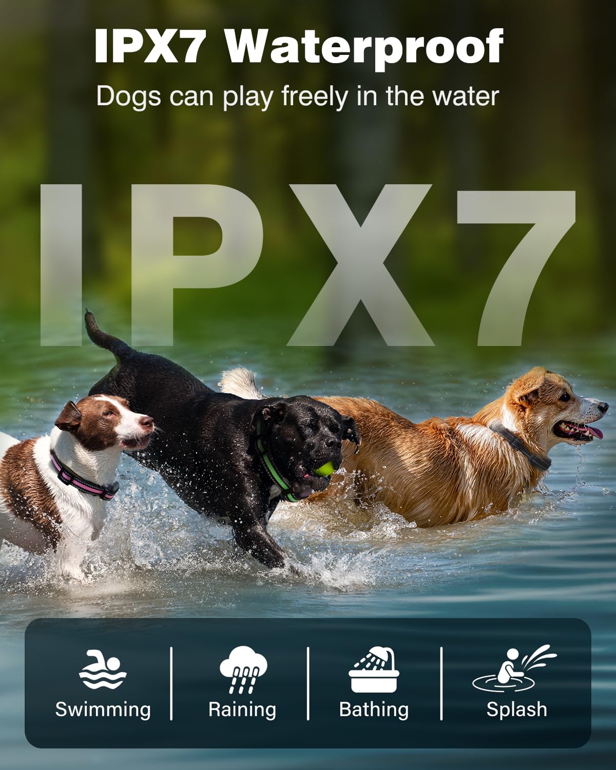 3 Dogs Shock Collar with Remote 3 Pack - 3300FT Rechargeable, IPX7 Waterproof Dog Training Collar with Fashlight, E Collar for S