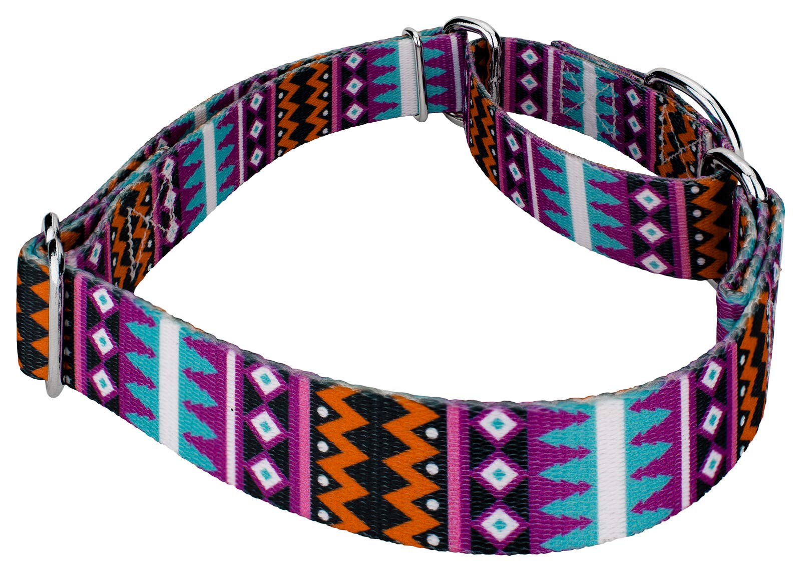 Country Brook Petz - Santa Fe Martingale Dog Collar - Country And Western Collection Featuring Rustic Designs (1 Inch, Medium)