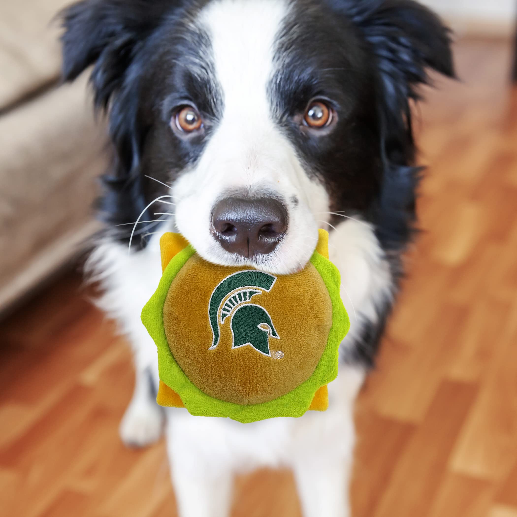Ncaa Michigan State Spartans Cheeseburger Plush Dog & Cat Squeak Toy- Cutest Stadium Hamburger Snack Plush Toy For Dogs & Cats W