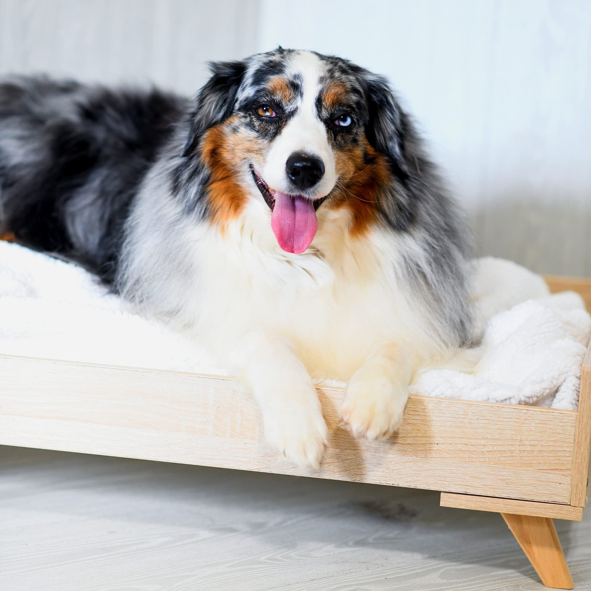 Midlee Raised Wooden Dog Bed Frame - Large Off-White Wood Design