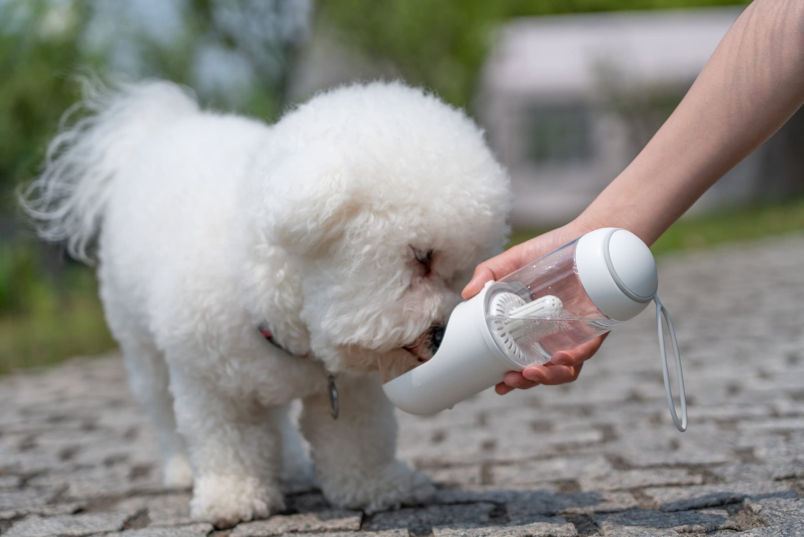 Pet Life  'PYURE' Handheld Travel Filtered Water Feeder