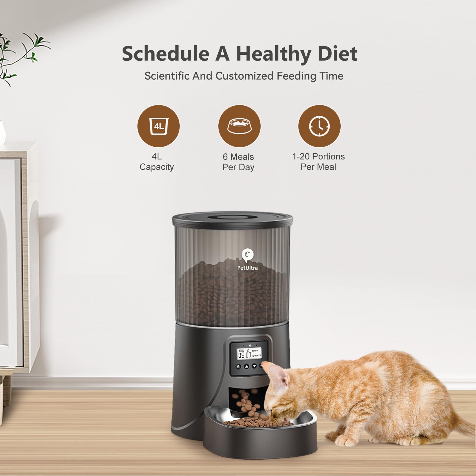 PETULTRA Automatic Cat Feeders, 4L Timed Dog Feeder Programmable Control 1-4 Meals Pet Dry Food Dispenser for Cats and Small Med