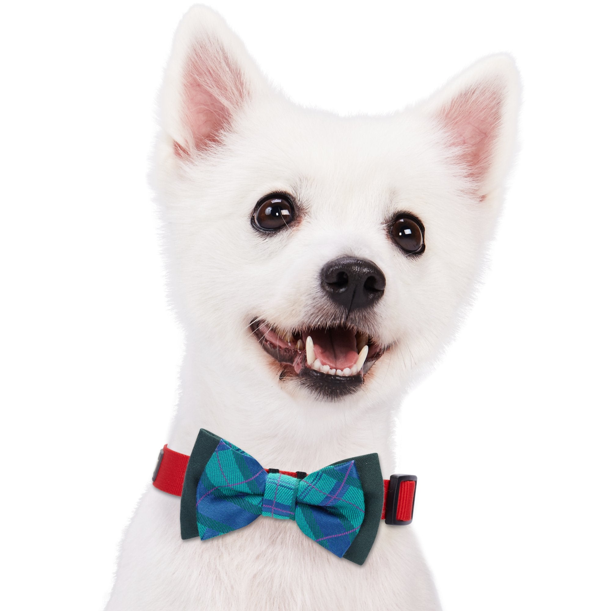 Blueberry Pet Gift Box With Pack Of 2 Handmade Dog Cat Bow Tie, Scottish Plaid Tartan Style Bowtie Set In Scarlet Red & Emerald Green, 4' * 2.5'