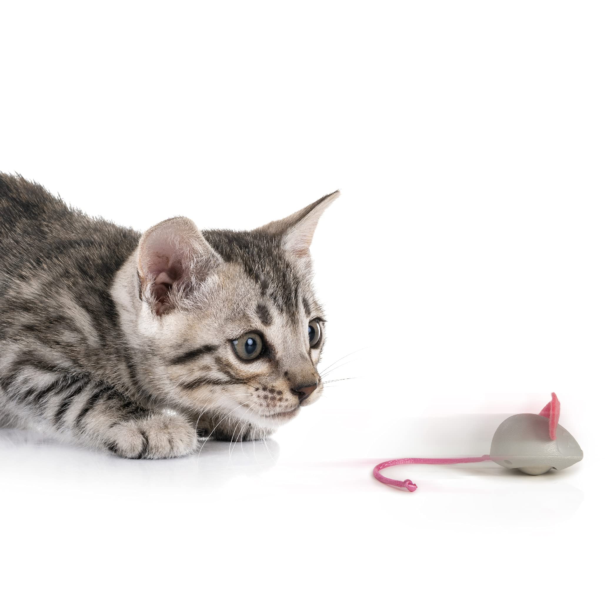 Smartykat Marble Mouse Rolling Cat Toy - Gray, One Size