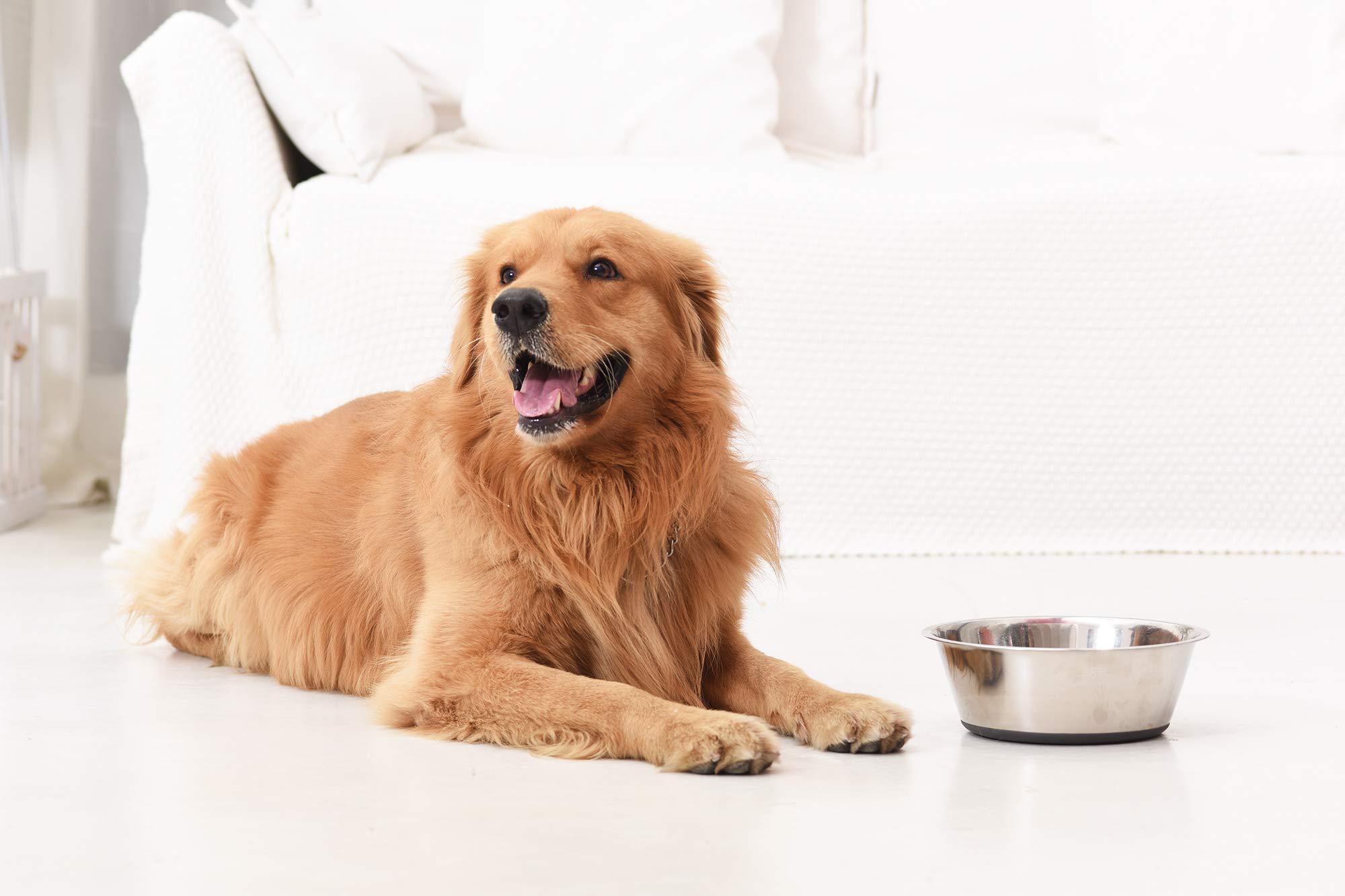 PEggY11 Deep Stainless Steel Anti-Slip Dog Bowls, 2 Pack, 16 cups