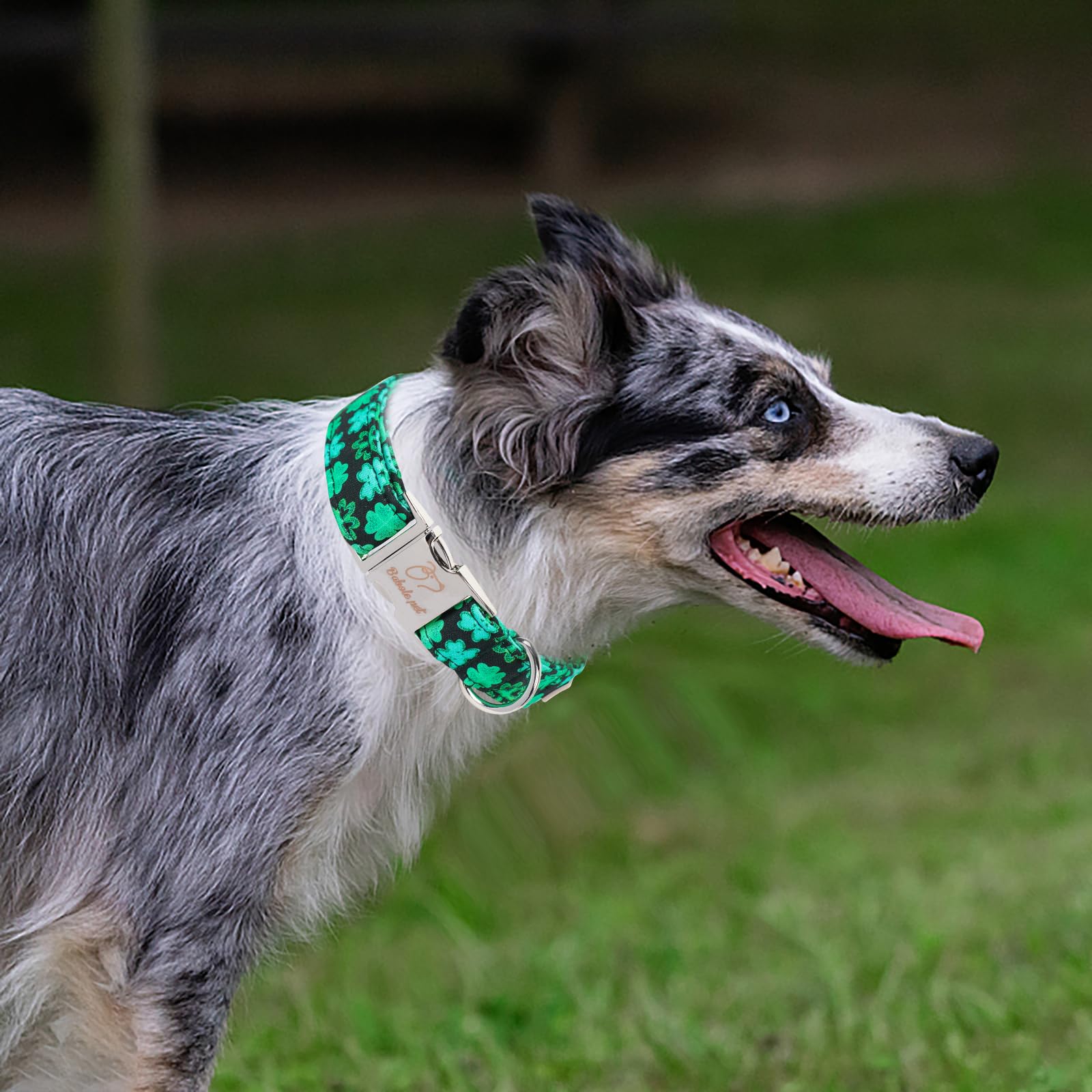 Babole Pet St Patricks Day Dog Collar, Neon Green Shamrock Pet Collar With Metal Buckel, Durable Adjustable Holiday Dog Collars