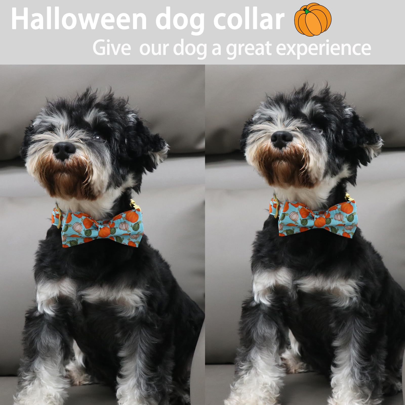 Aring Pet Halloween Dog Collar Cotton Pumpkin Dog Collar With Bow, Adjustable Blue Pumpkin Dog Collars Puppy Collars With Metal Buckle