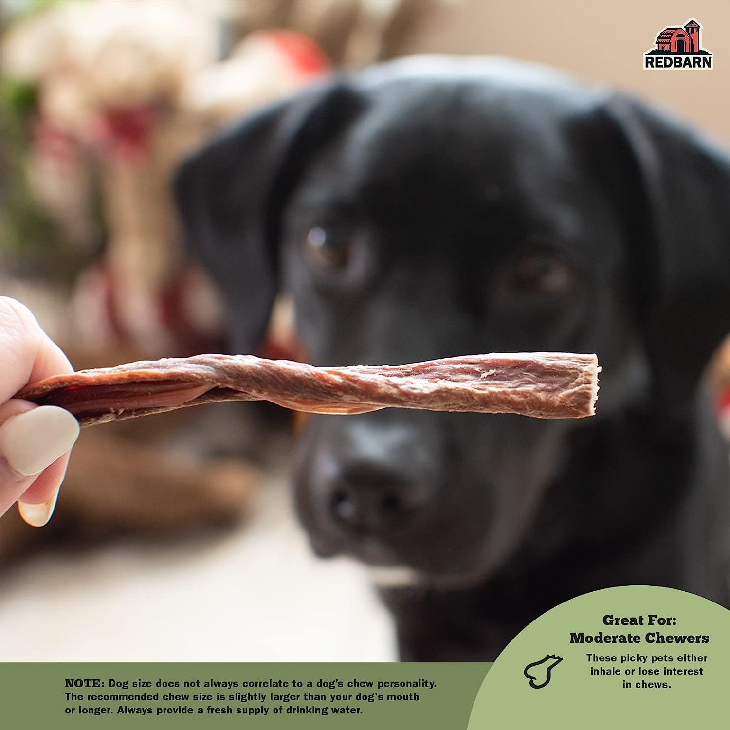 Redbarn Pet Products Natural Bully Slims Beef Chews for Dogs - 4.7 Oz Case of 10 Bags - Natural, Grain-Free, Highly Palatable, H