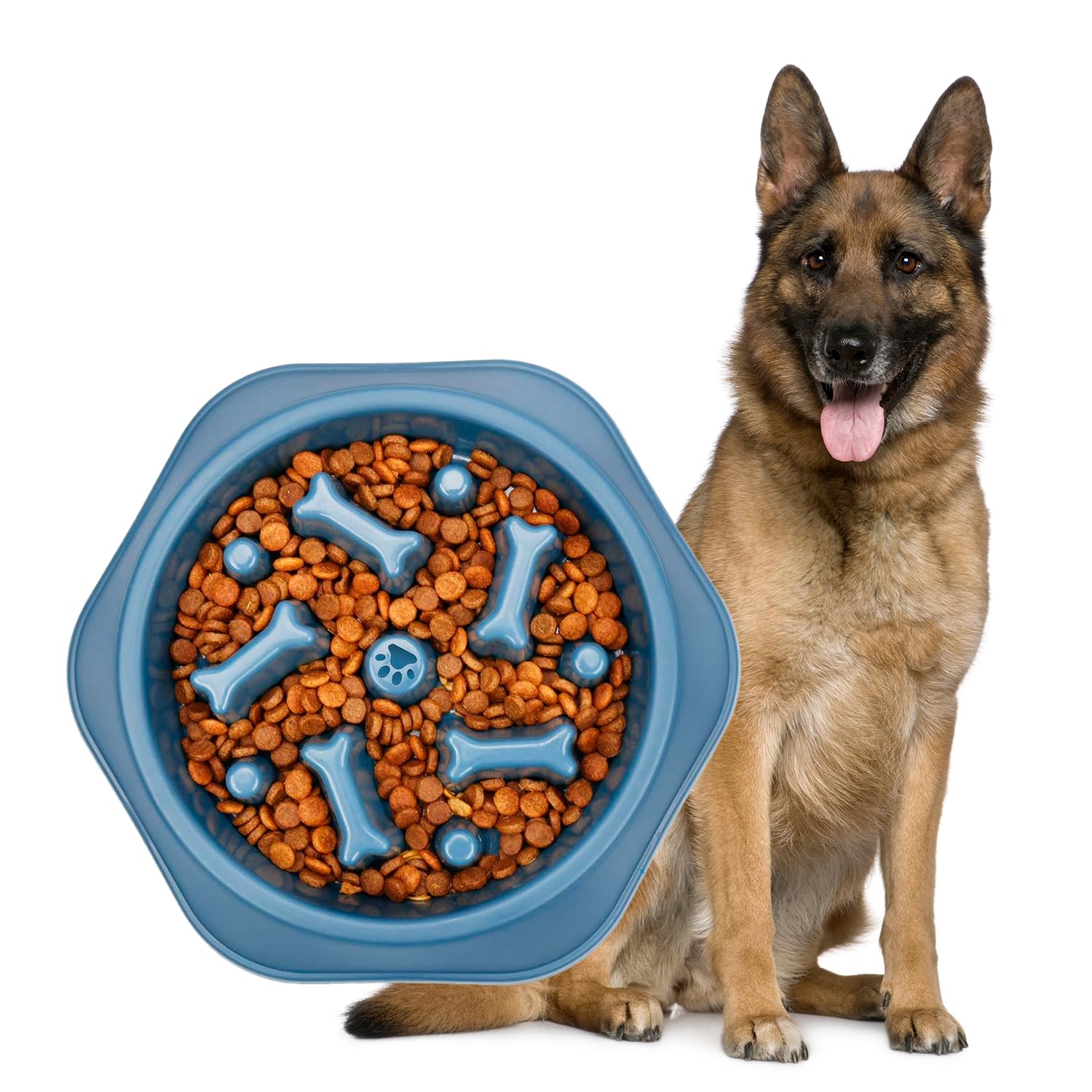 Petbabas Durable Slow Feeder Bowl For Dog| AntiChoke NonSlip Pet Feeding Base And Easy To Clean| Dish Promotes Healthy Eating|