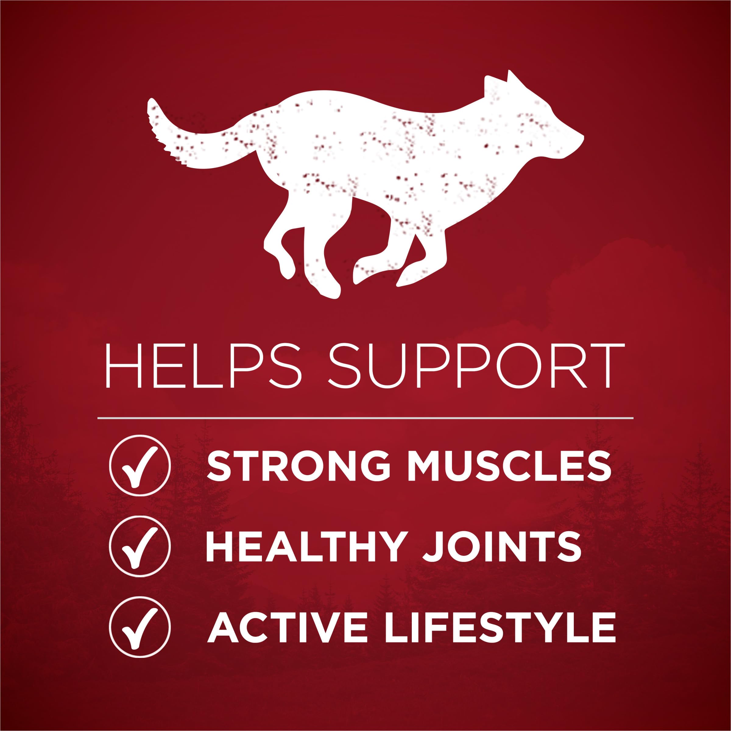 Purina One True Instinct Lean Muscle Support With Real Beef Natural With Added Vitamins, Minerals and Nutrients High Protein Dog
