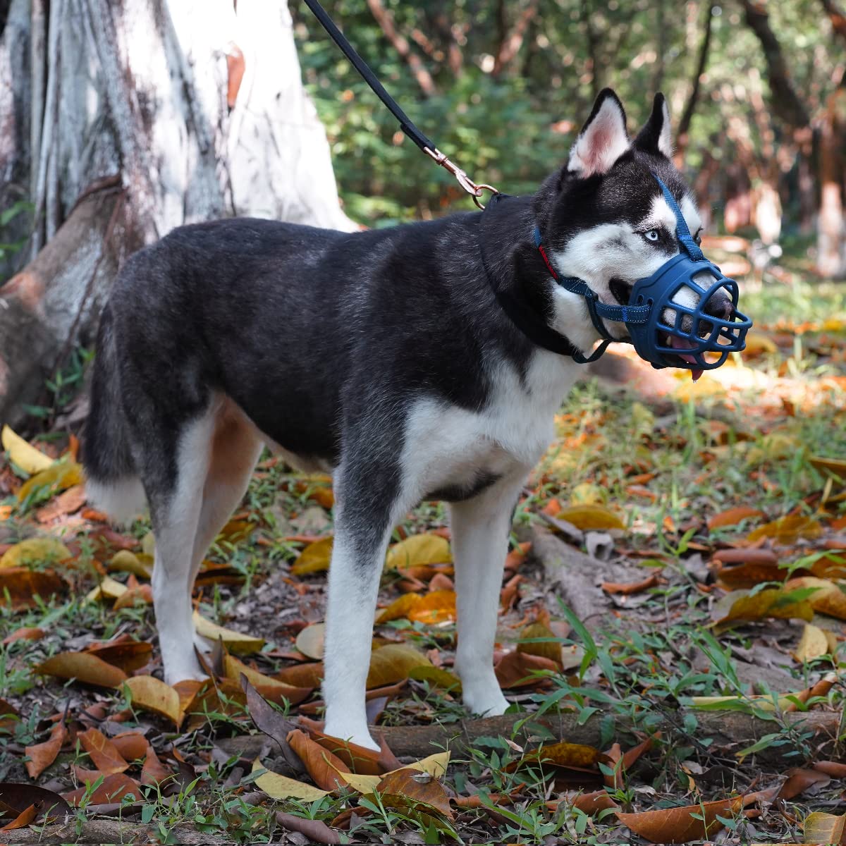 Barkless Dog Muzzle, Soft Basket Silicone Muzzles For Dog, Best To Prevent Biting, Chewing And Barking, Allows Drinking And Panting, Used With Collar