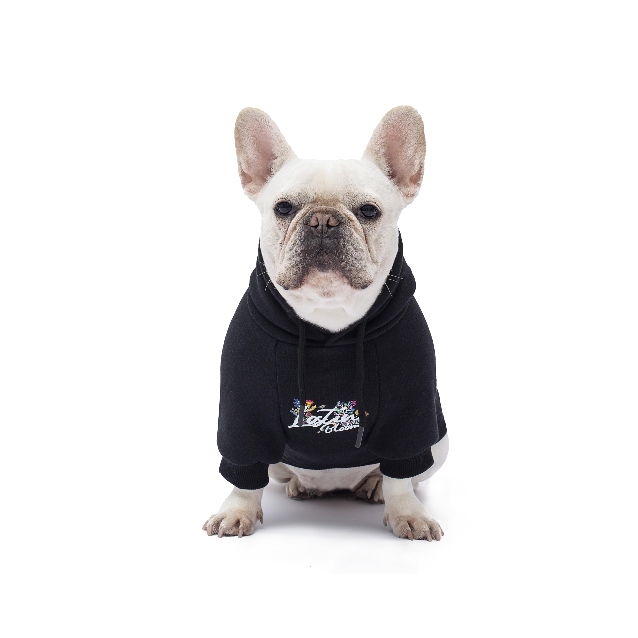 Blooming Teddy Dog Hoodie Dog Clothes Extra Warm Fleece Lining Stretchy Fit for Small Medium Dogs (Black, Large)