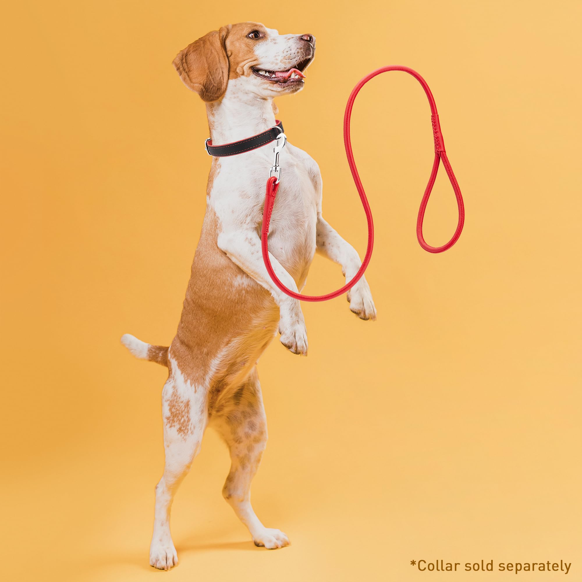 Dogline Rolled Leather Dog Leash - For Small, Medium And Large Breeds - Soft And Padded Lead Luxury Design - Red - 1/4In W X 6Ft L