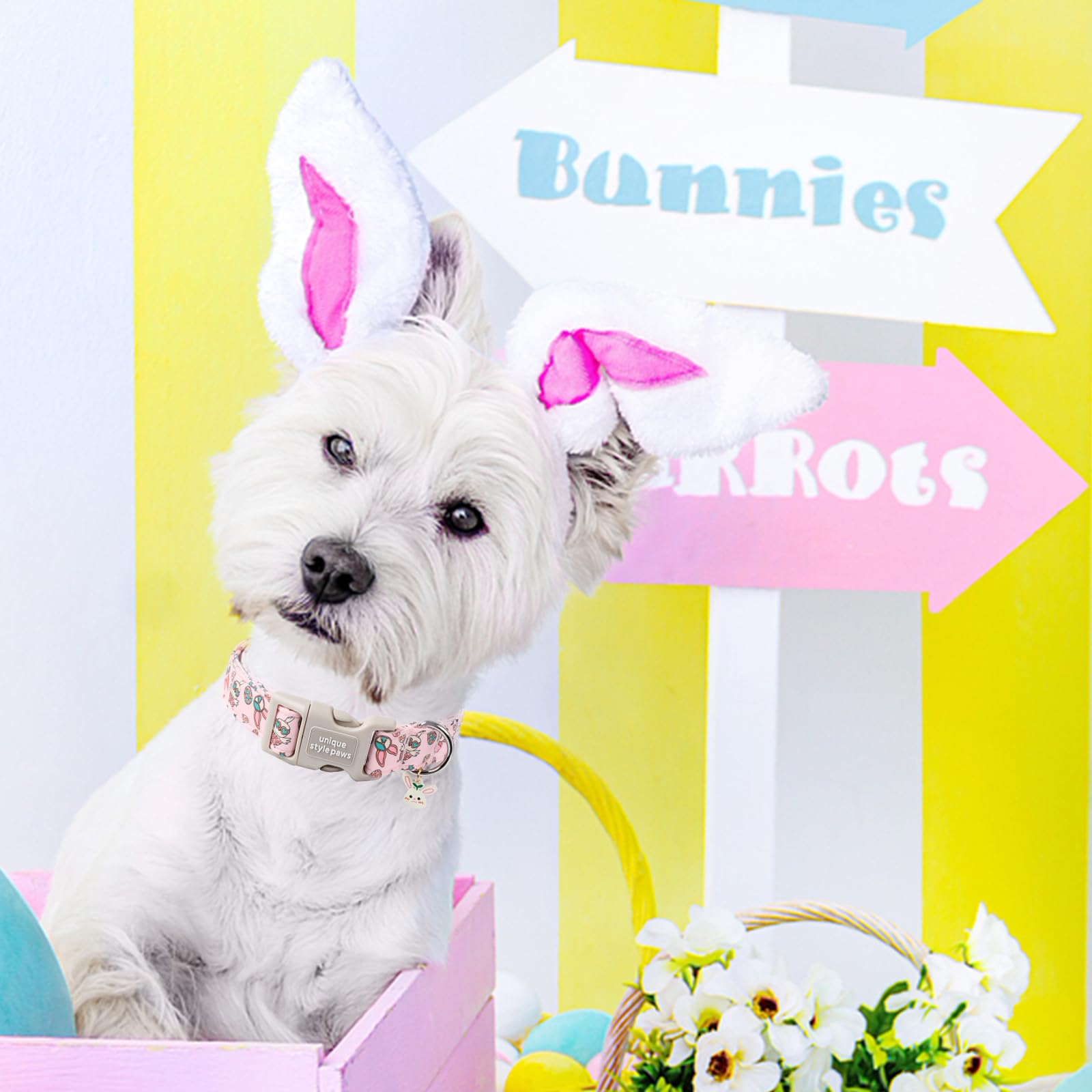Unique Style Paws Easter Day Cotton Bunny Egg Rabbit Dog Collar - Adjustable For Medium, Small Dogs